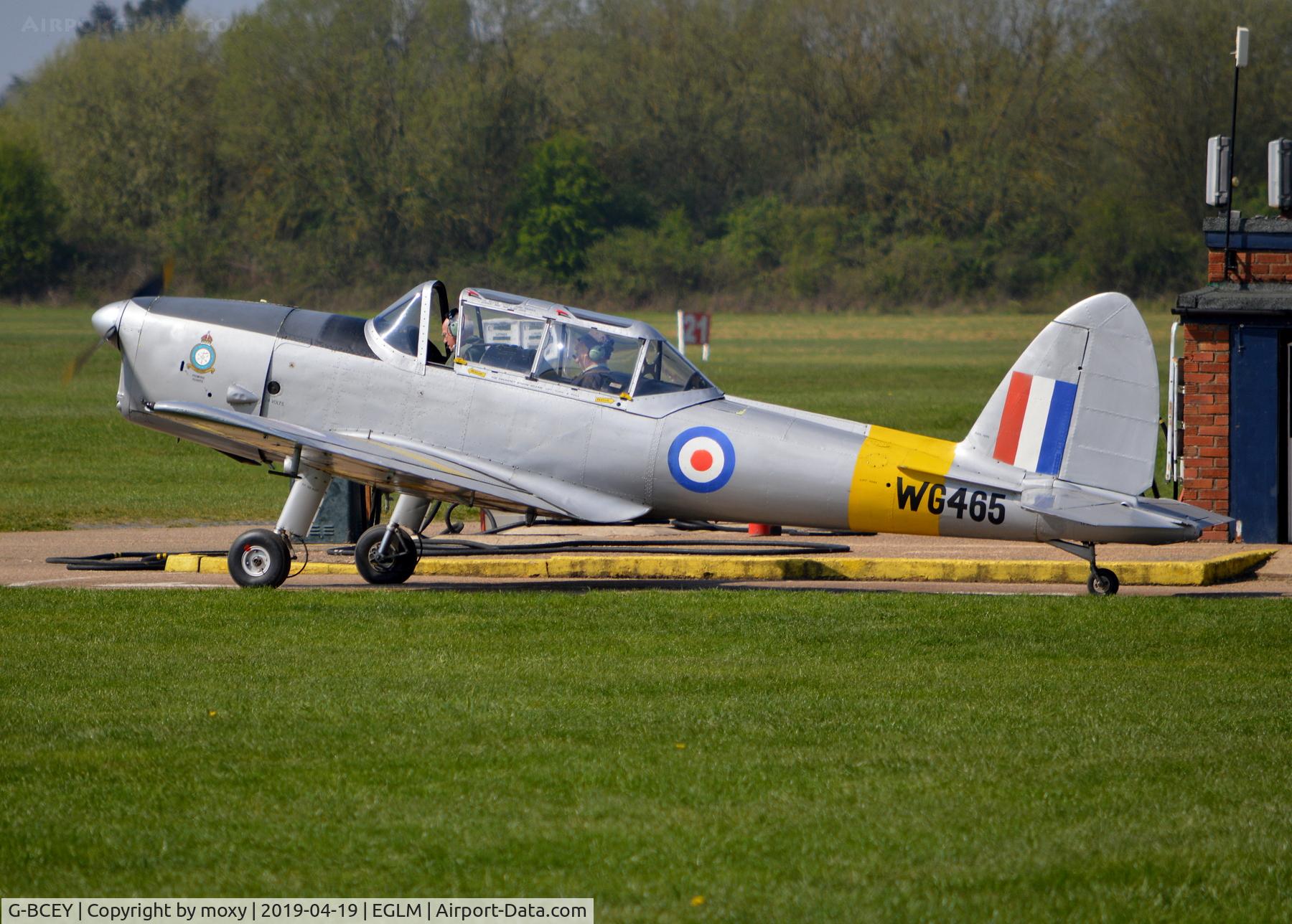 G-BCEY, 1951 De Havilland DHC-1 Chipmunk T.10 C/N C1/0515, De Havilland DHC-1 Chipmunk T.10 (WG465) at White Waltham.