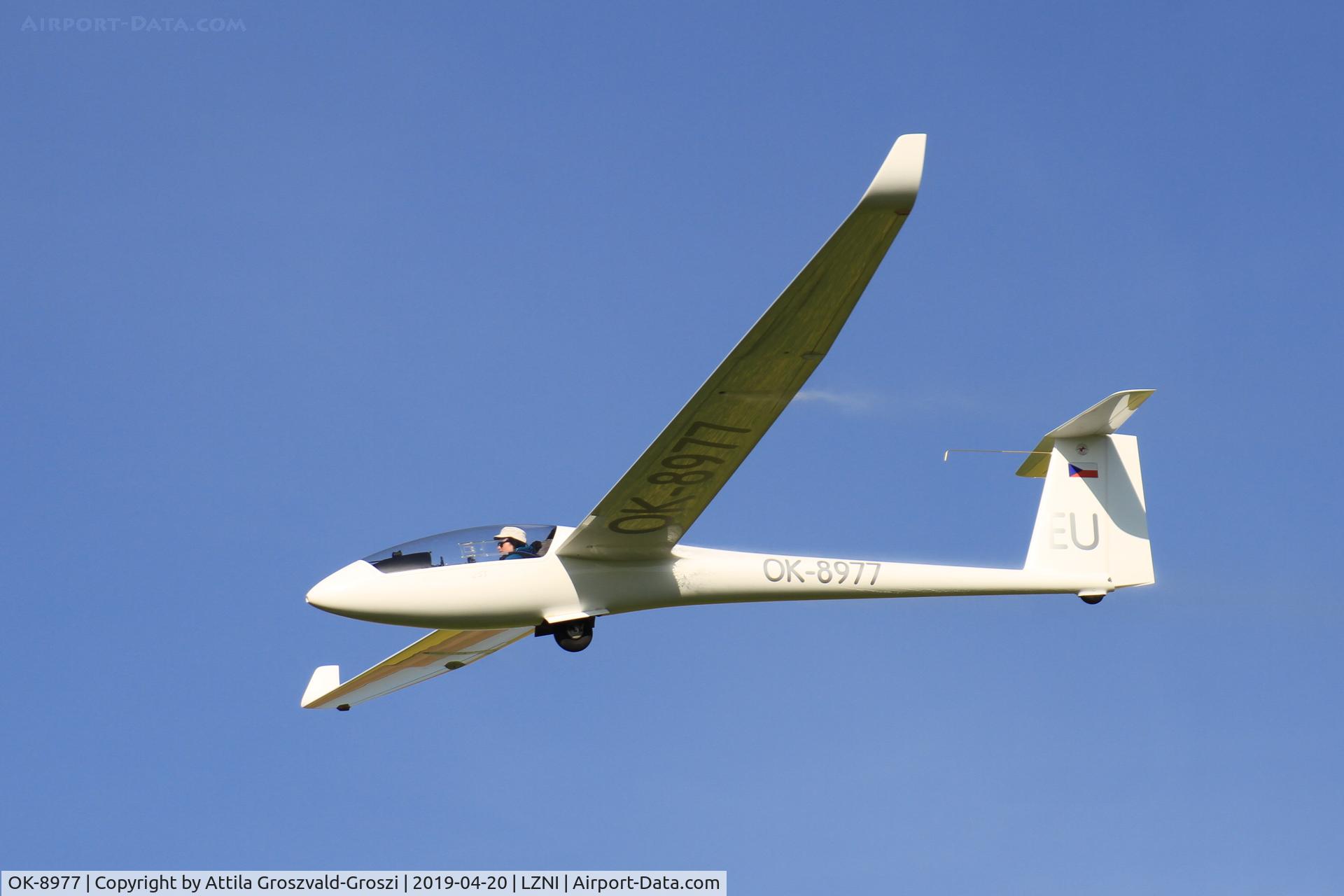 OK-8977, 1996 Rolladen-Schneider LS-8a C/N 8195, LZNI - Nitra Airport, Slovakia - Pribina Cup 2019