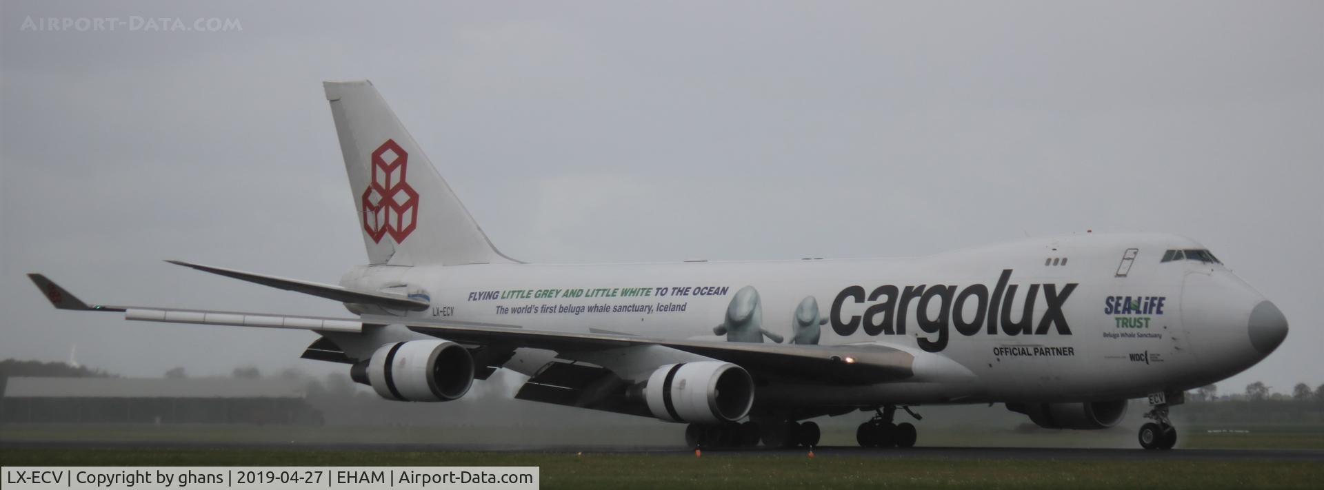 LX-ECV, 2009 Boeing 747-4HQF C/N 37303, Sealife Trust Beluga Whale Sanctuary