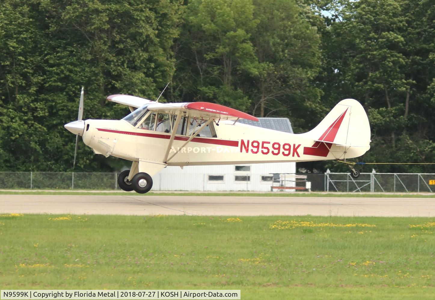 N9599K, 1989 Christen A-1 Husky C/N 1111, Christen A-1 Husky