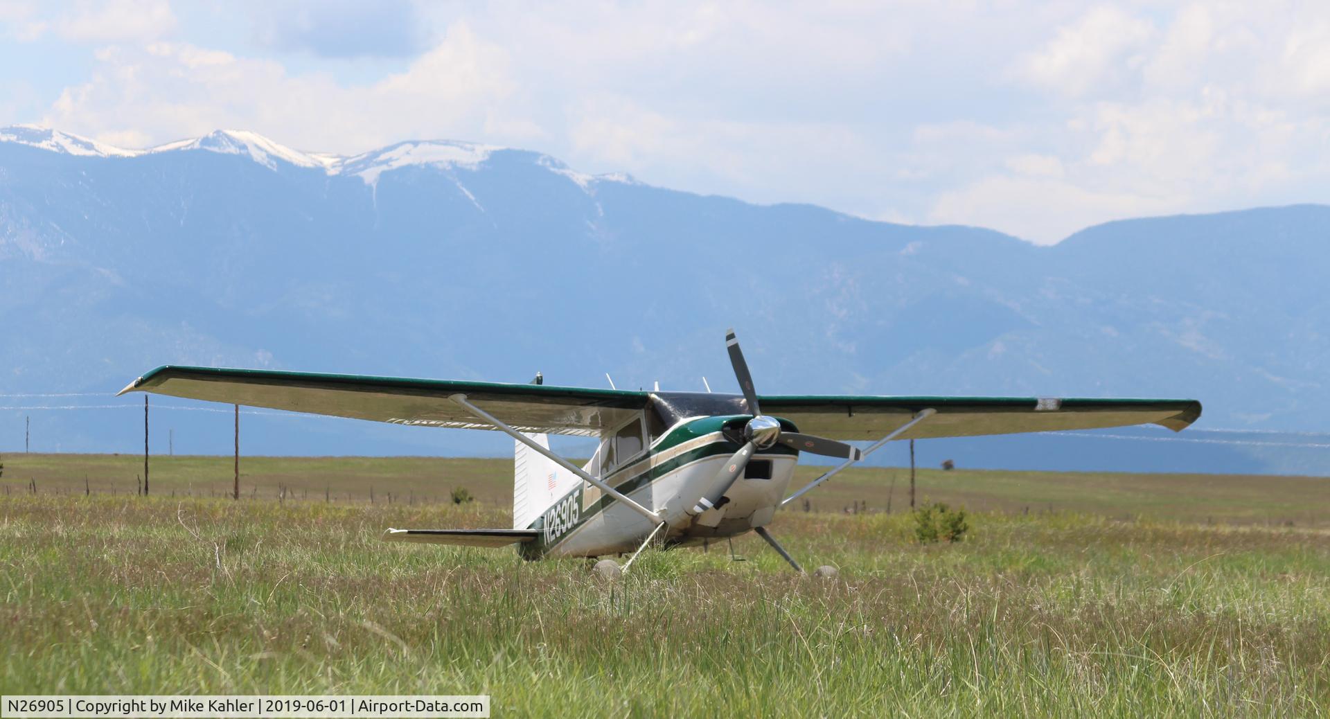 N26905, Cessna 180 C/N 18051354, Chilling in the grass.