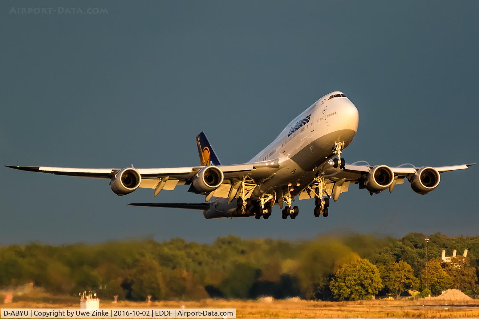 D-ABYU, 2015 Boeing 747-830 C/N 37845, evening after heavy rain