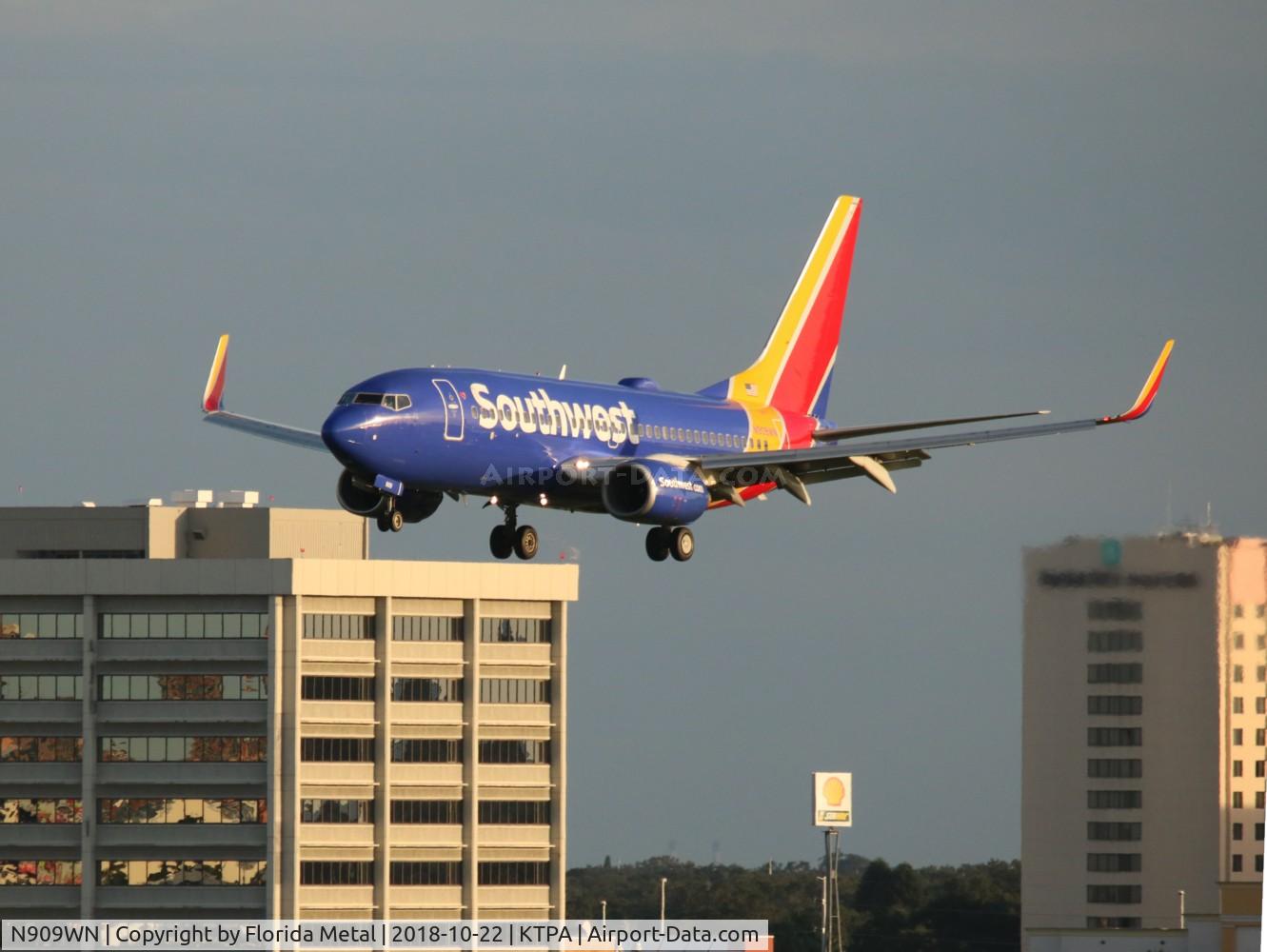 N909WN, 2008 Boeing 737-7H4 C/N 32458, TPA spotting