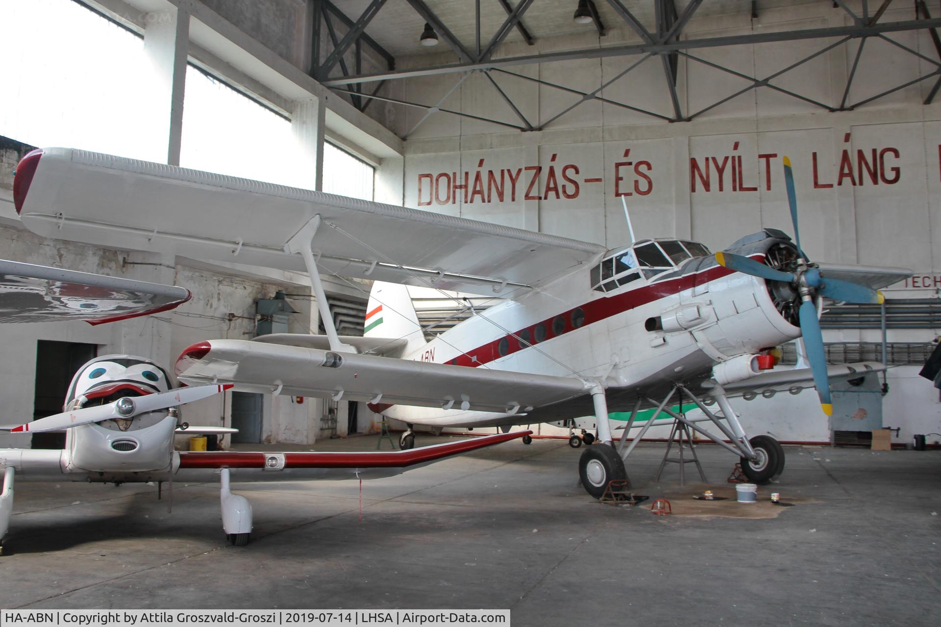 HA-ABN, PZL-Mielec An-2TD C/N 1G152-47, LHSA - Szentkirályszabadja Airport, Hungary