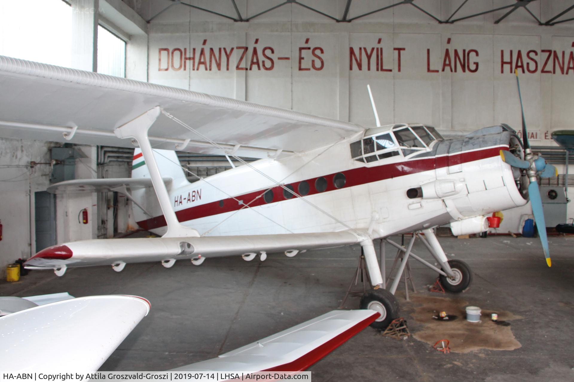 HA-ABN, PZL-Mielec An-2TD C/N 1G152-47, LHSA - Szentkirályszabadja Airport, Hungary