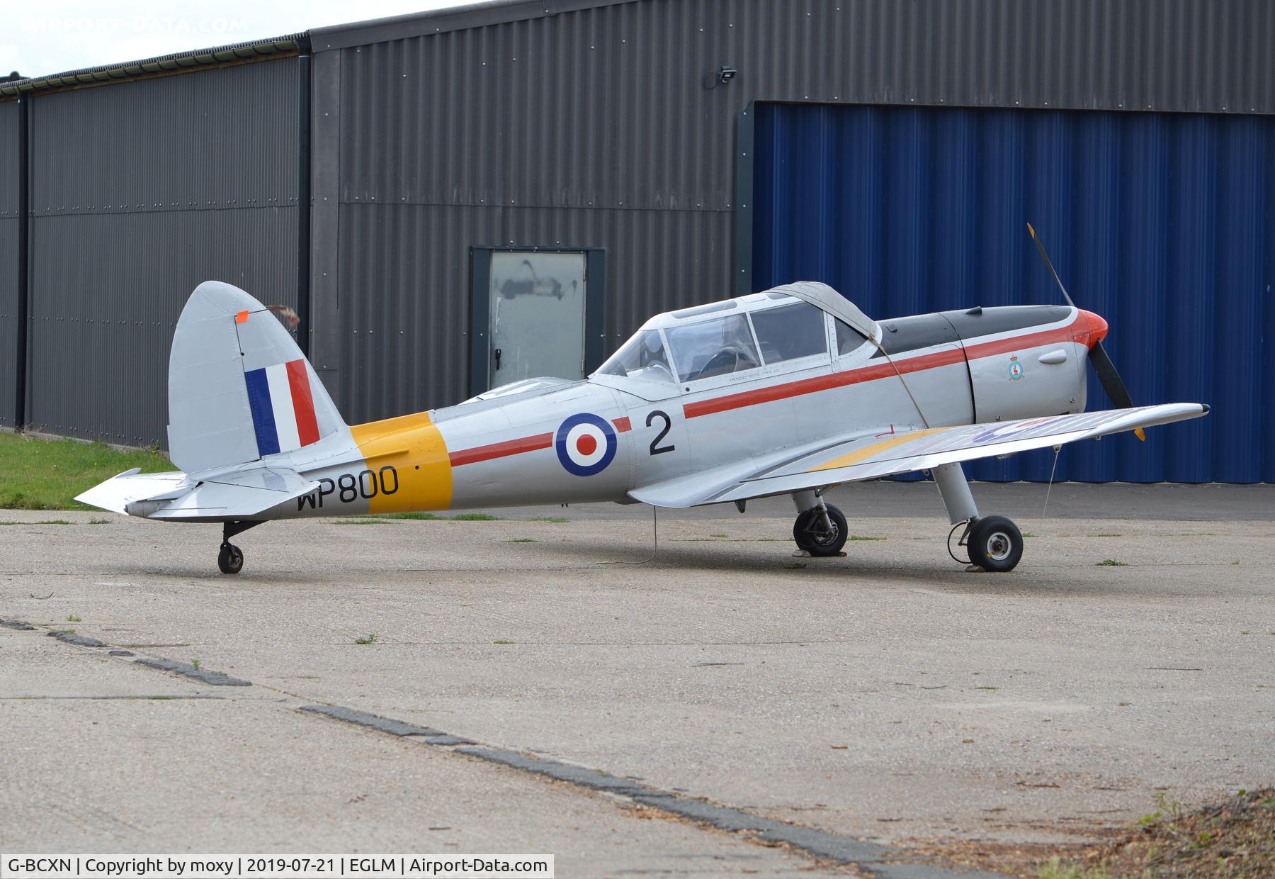 G-BCXN, 1952 De Havilland DHC-1 Chipmunk T.10 C/N C1/0692, De Havilland DHC-1 Chipmunk T.10 at White Waltham. RAF Serial WP800.
