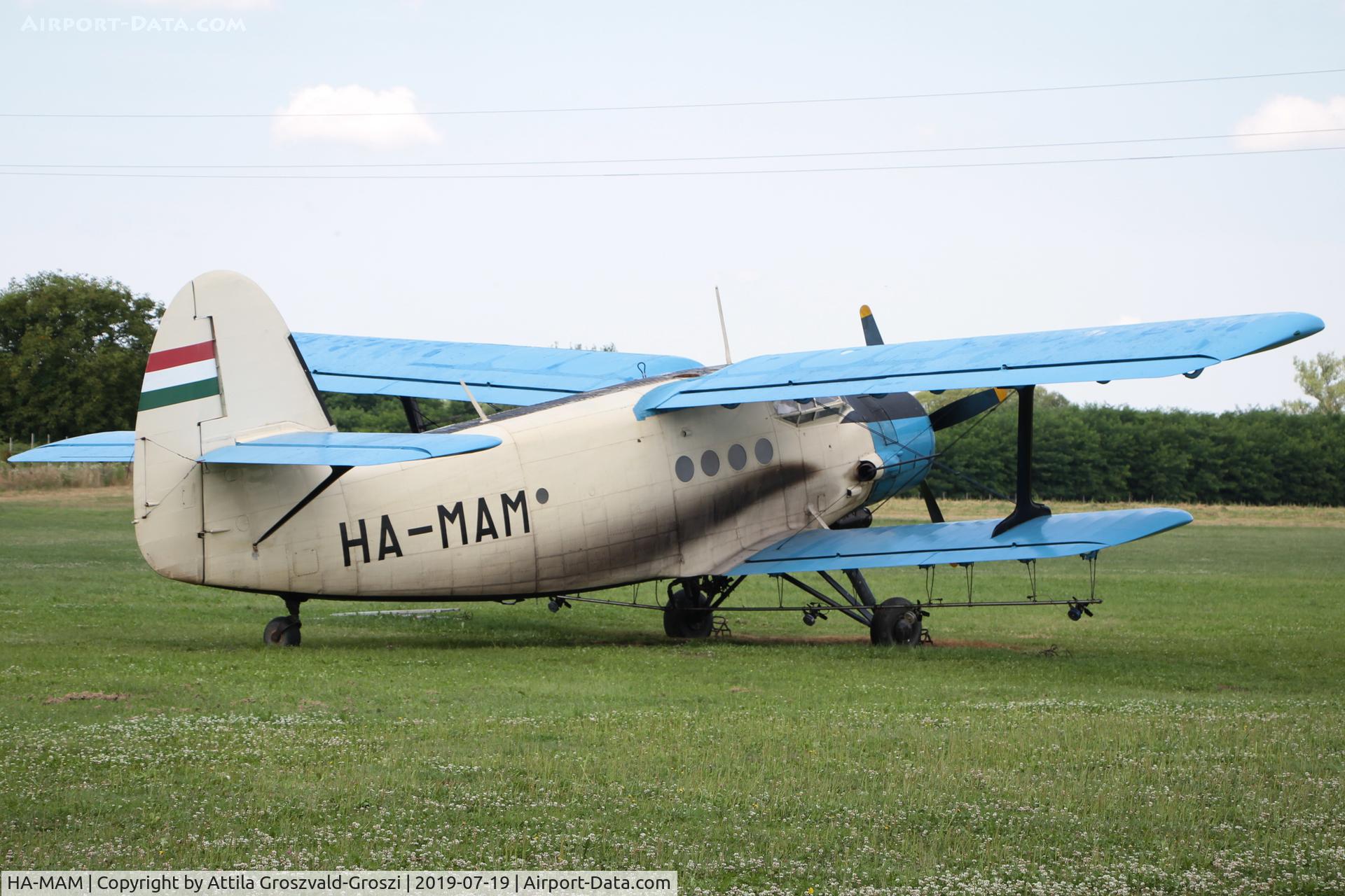 HA-MAM, 1984 PZL-Mielec An-2R C/N 1G208-44, Kadarkut Airfield, Hungary