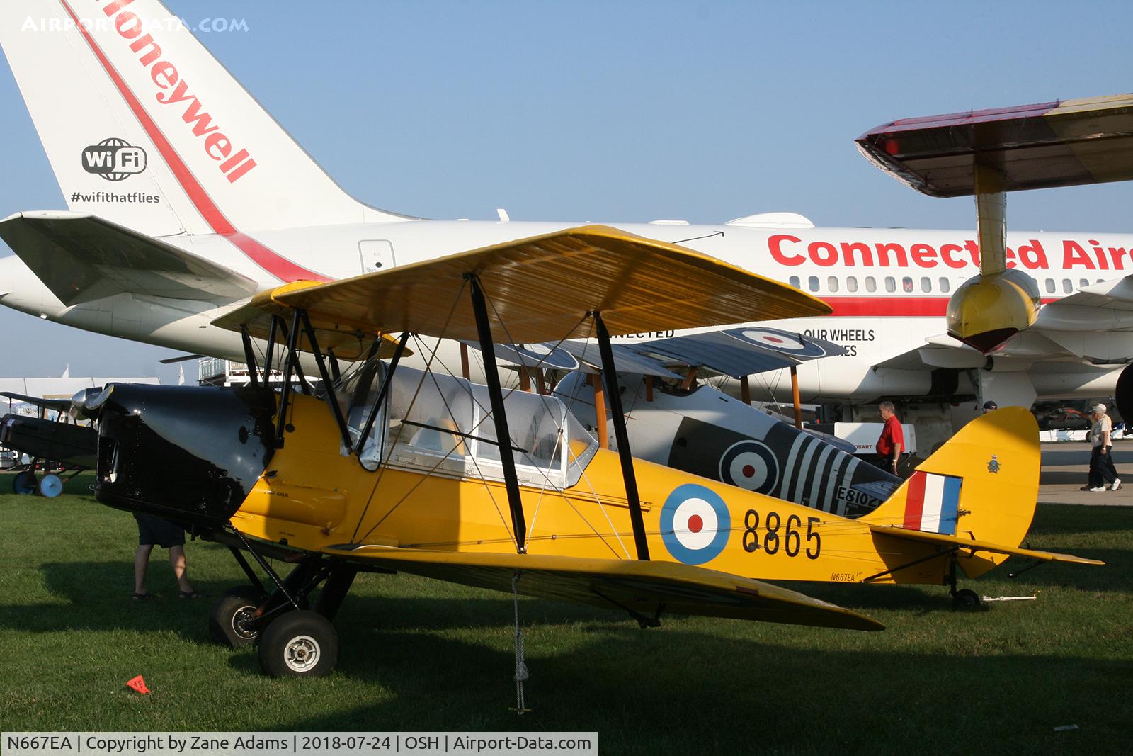N667EA, 1942 De Havilland Canada DH-82C Tiger Moth C/N DHC1667, 2018 EAA AirVenture - Oshkosh, Wisconsin