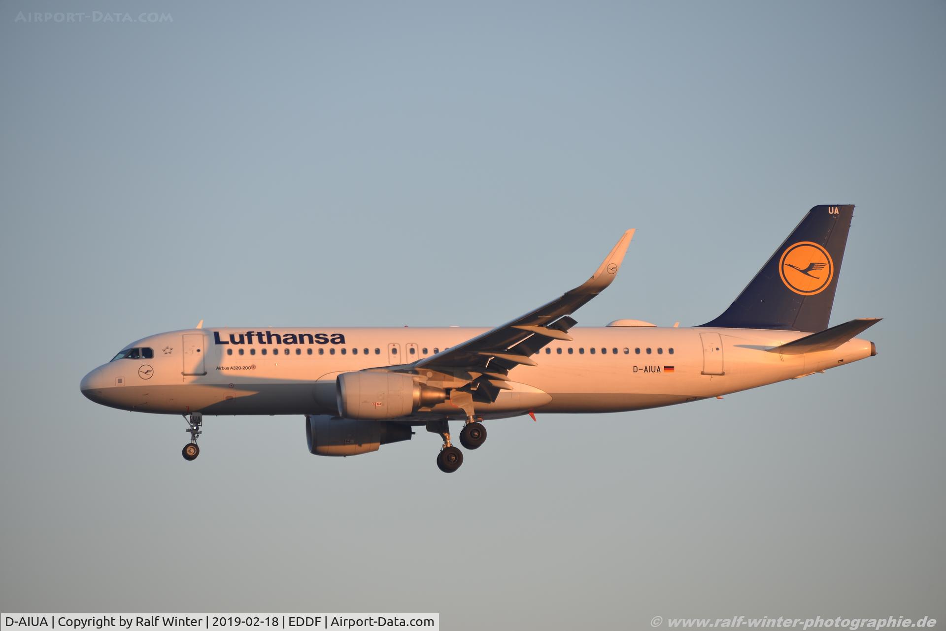 D-AIUA, 2013 Airbus A320-214 C/N 5935, Airbus A320-214 - LH DLH Lufthansa - 5935 - D-AIUA - 18.02.2019 - FRA
