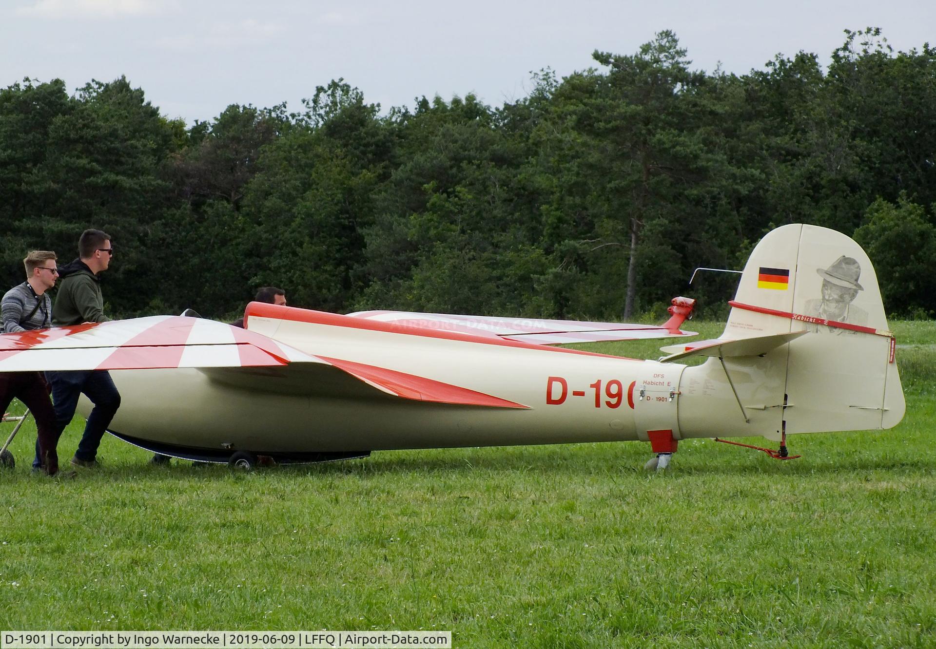 D-1901, 1963 DFS 108-53 Habicht E Replica C/N 1, Jacobs DFS 108-53 Habicht E replica at the meeting aerien 2019, La-Ferte-Alais