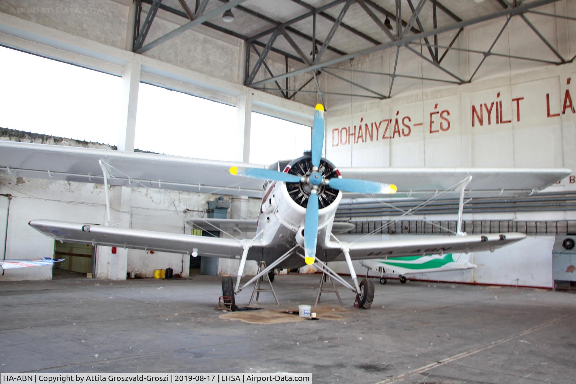 HA-ABN, PZL-Mielec An-2TD C/N 1G152-47, LHSA - Szentkirályszabadja Airport, Hungary