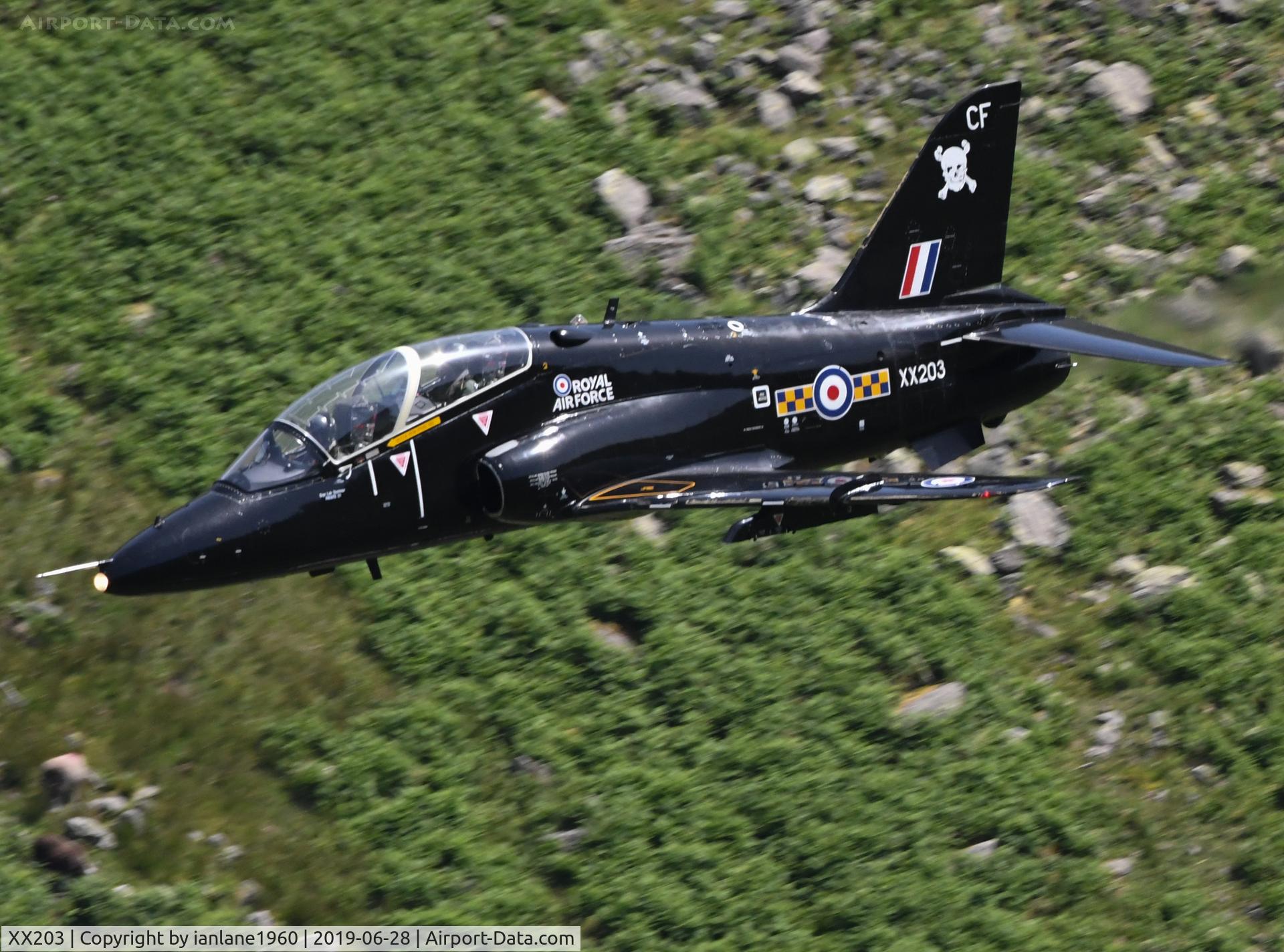 XX203, 1978 Hawker Siddeley Hawk T.1A C/N 050/312050, 100 Squadron Hawk in LFA17