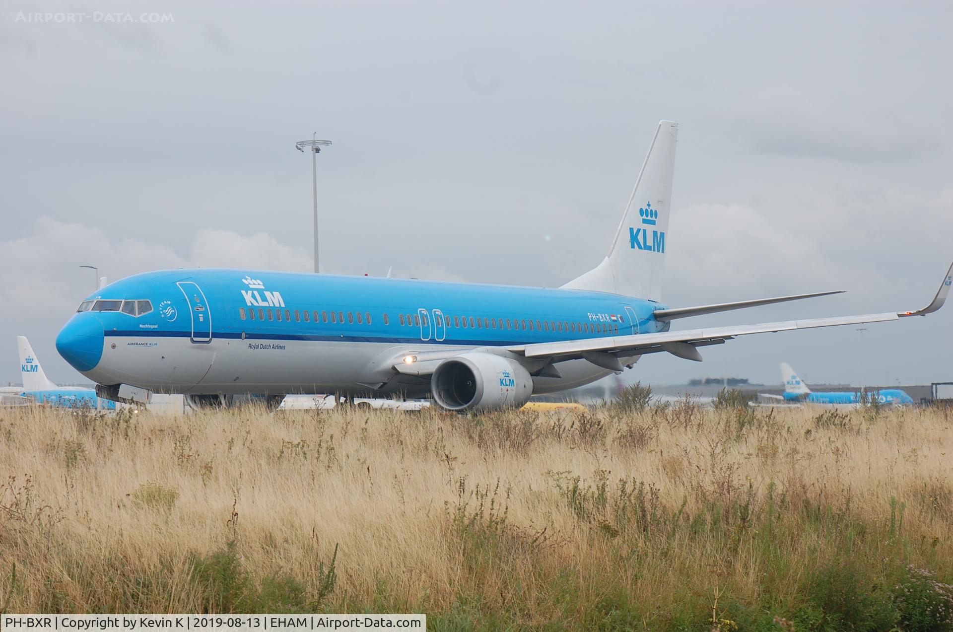 PH-BXR, 2001 Boeing 737-9K2 C/N 29601, -----