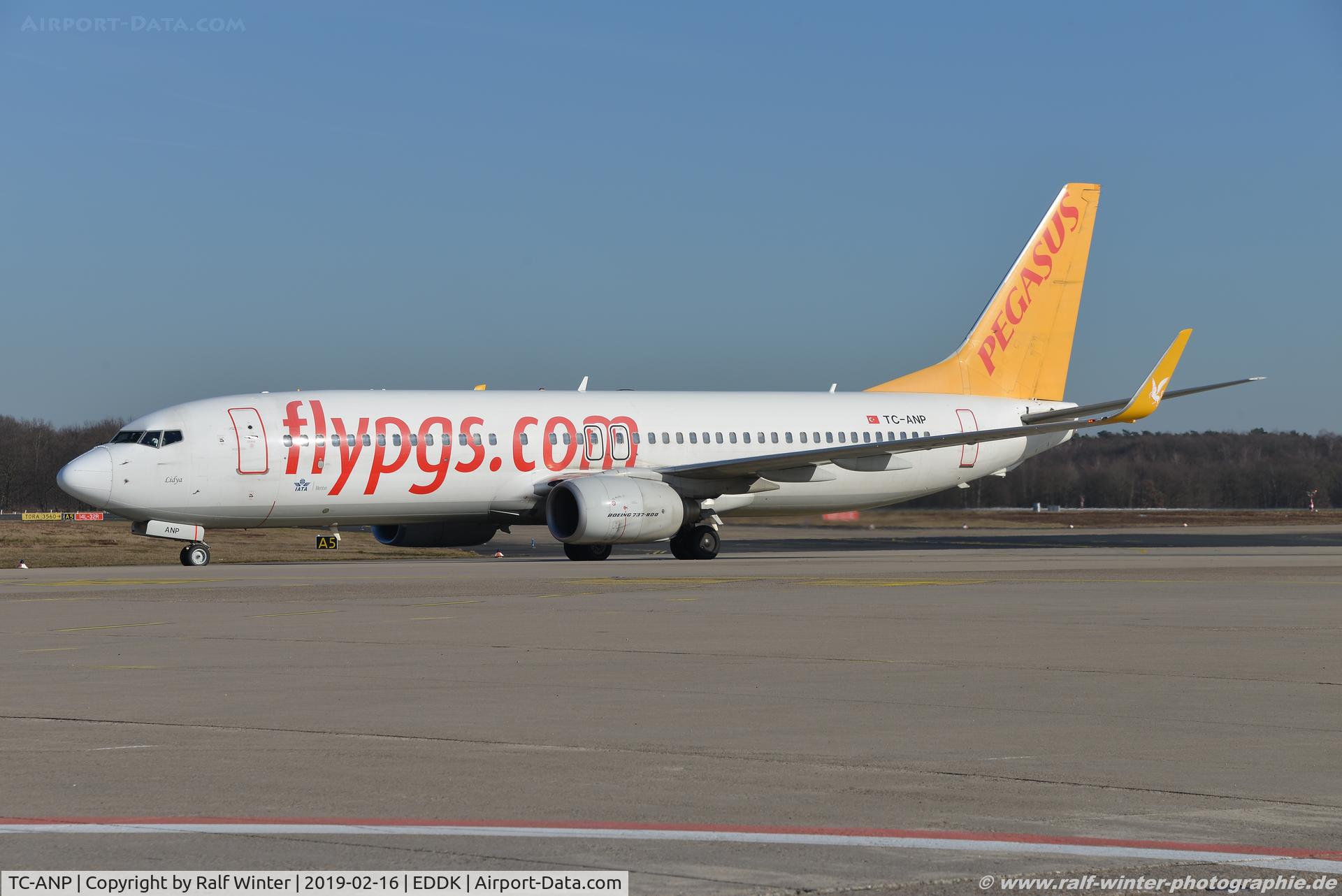 TC-ANP, 2011 Boeing 737-82R C/N 40722, Boeing 737-82R(W) - H9 PGT Pegasus Airlines 'Lidya' - 40722 - TC-ANP - 16.02.2019 - CGN