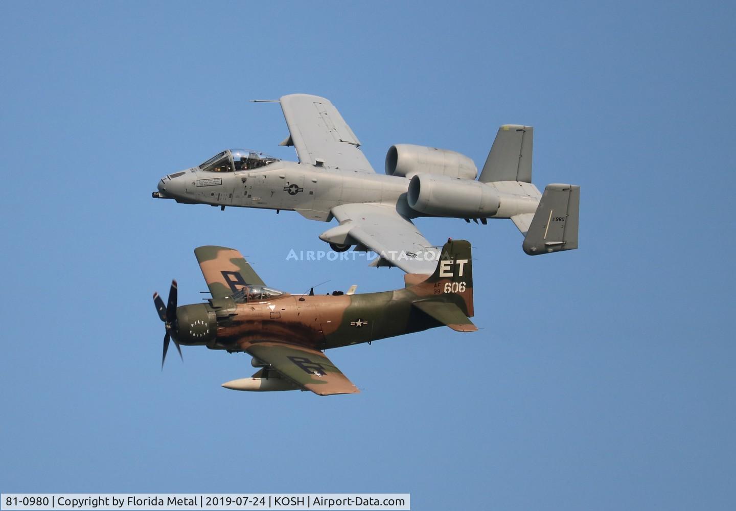 81-0980, 1980 Fairchild Republic A-10A Thunderbolt II C/N A10-0675, Warthog