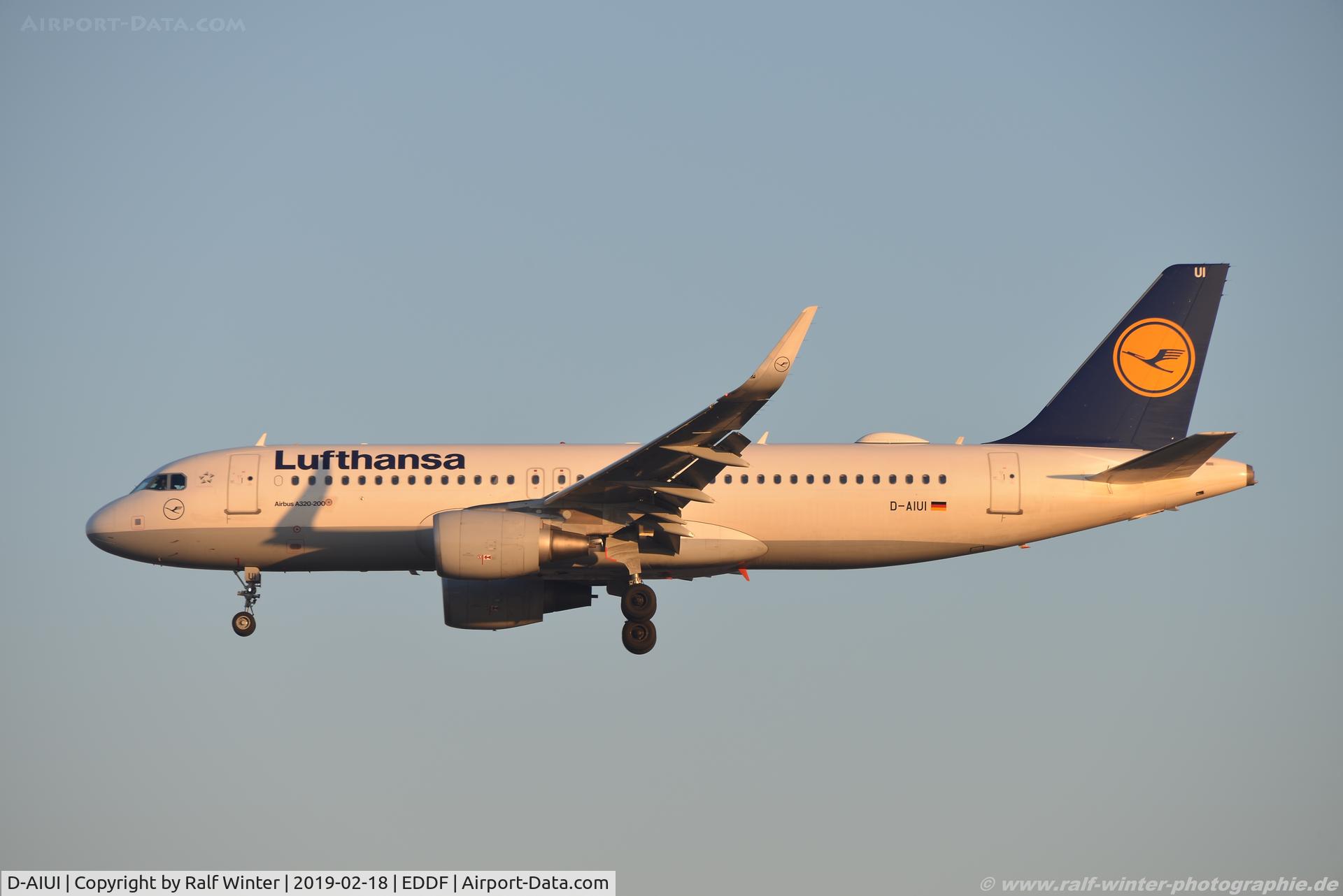 D-AIUI, 2014 Airbus A320-214 C/N 6265, Airbus A320-214(W) - LH DLH Lufthansa - 6265 - D-AIUI - 18.02.2019 - FRA