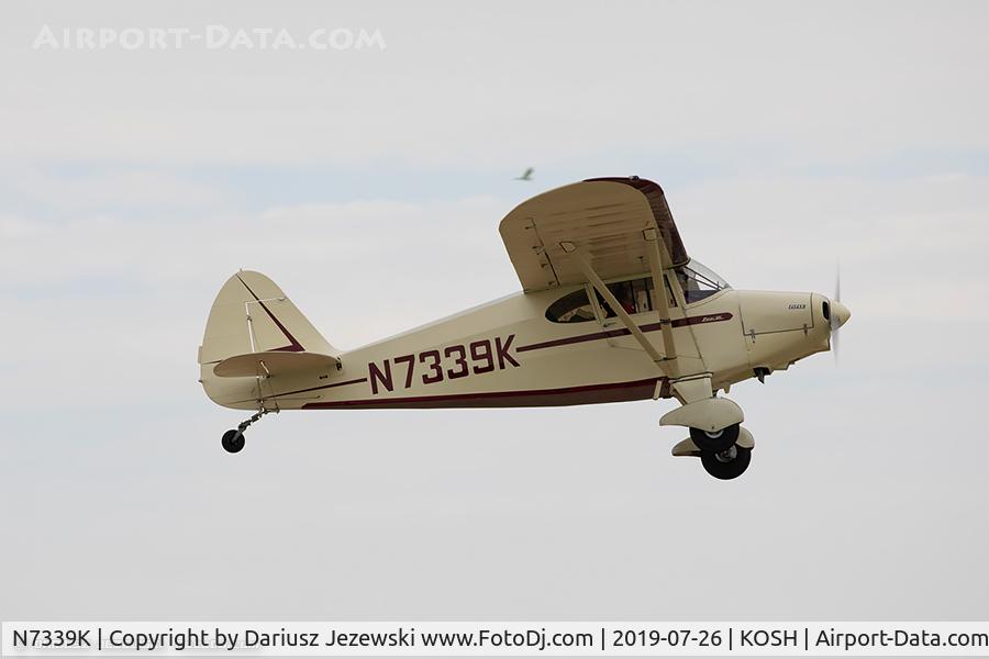N7339K, 1950 Piper PA-20 Pacer C/N 20-247, Piper PA-20 Pacer  C/N 20-247, N7339K