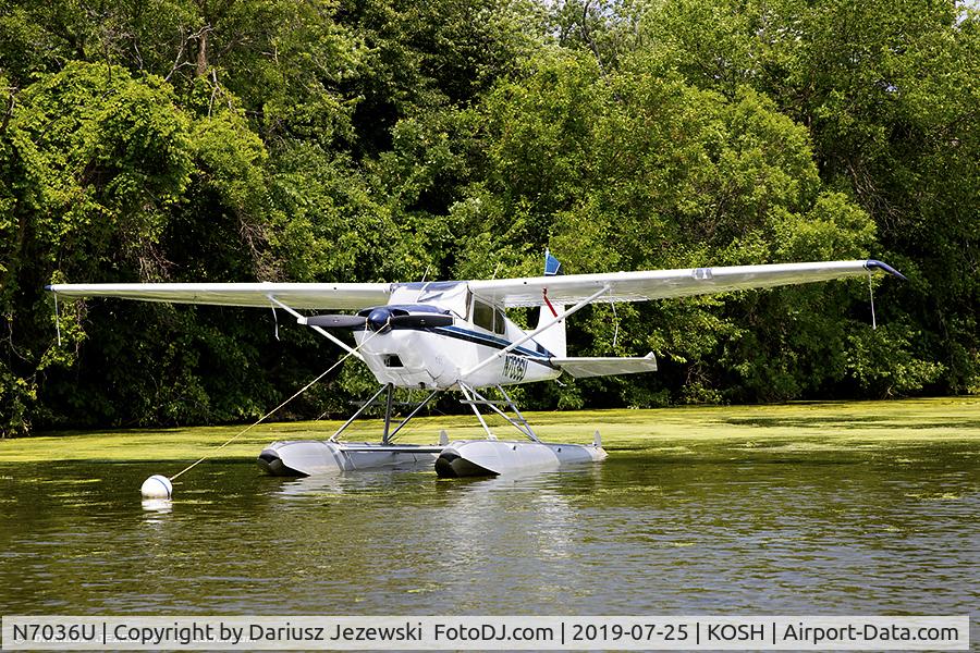 N7036U, 1955 Cessna 180 C/N 31621, Cessna 180 Skywagon  C/N 31621, N7036U
