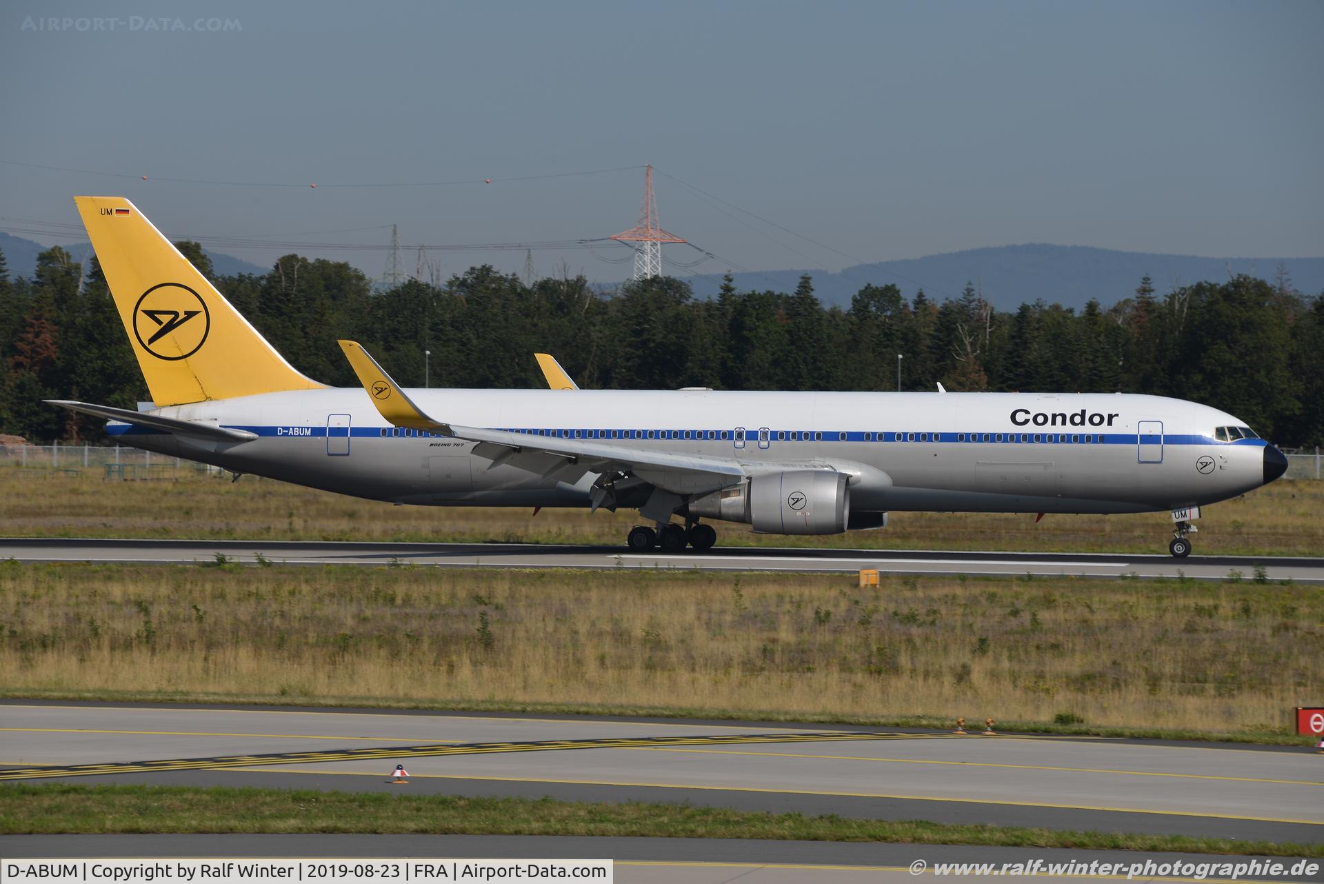 D-ABUM, 1967 Boeing 707-330B C/N 19316, Boeing 767-31BER(W) - DE CFG Condor 'Achim' '1980s special colours' - 25170 - D-ABUM - 23.08.2019 - FRA