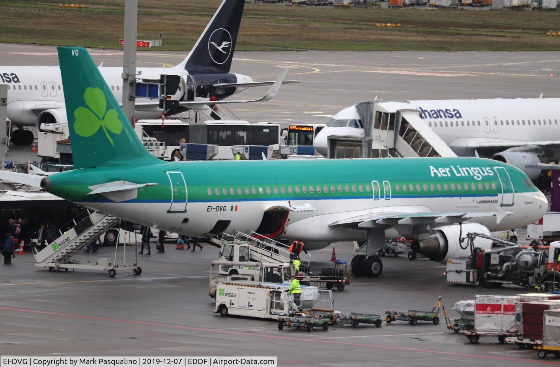 EI-DVG, 2007 Airbus A320-214 C/N 3318, Airbus A320-214