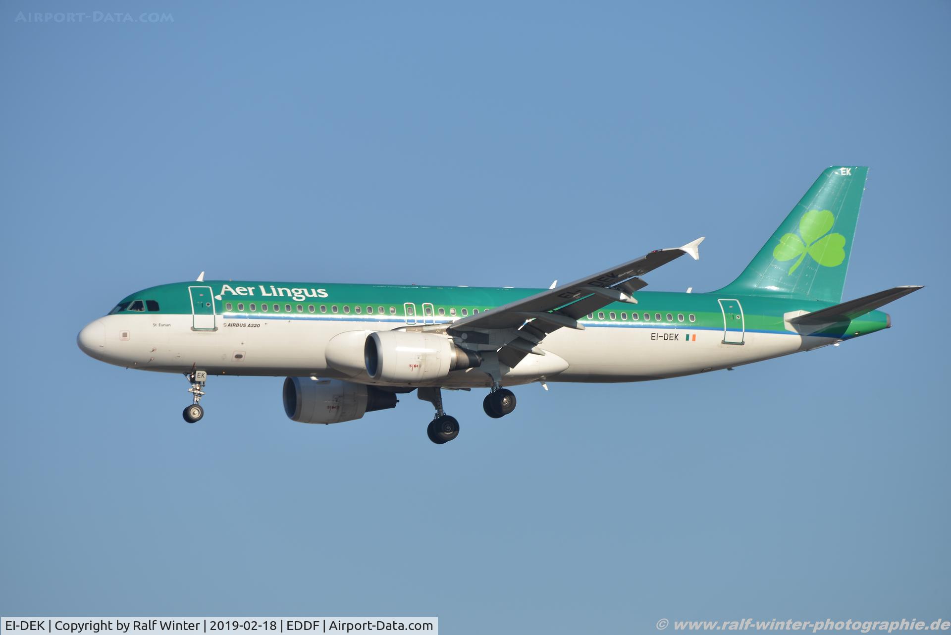 EI-DEK, 2005 Airbus A320-214 C/N 2399, Airbus A320-214 - EI EIN Aer Lingus 'St Eunan' - 2399 - EI-DEK - 18.02.2019 - FRA