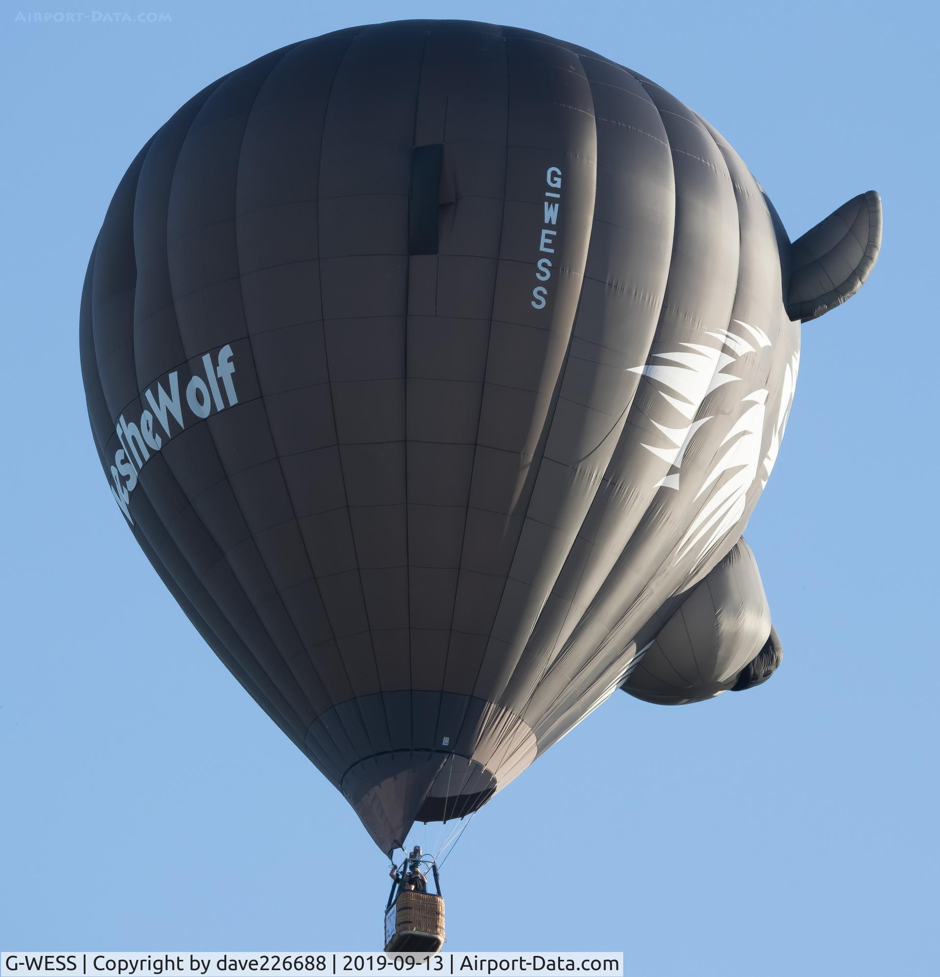 G-WESS, 2017 Lindstrand LTL Series 1-90 C/N 051, G WESS at the 2019 Longleat Skysafari