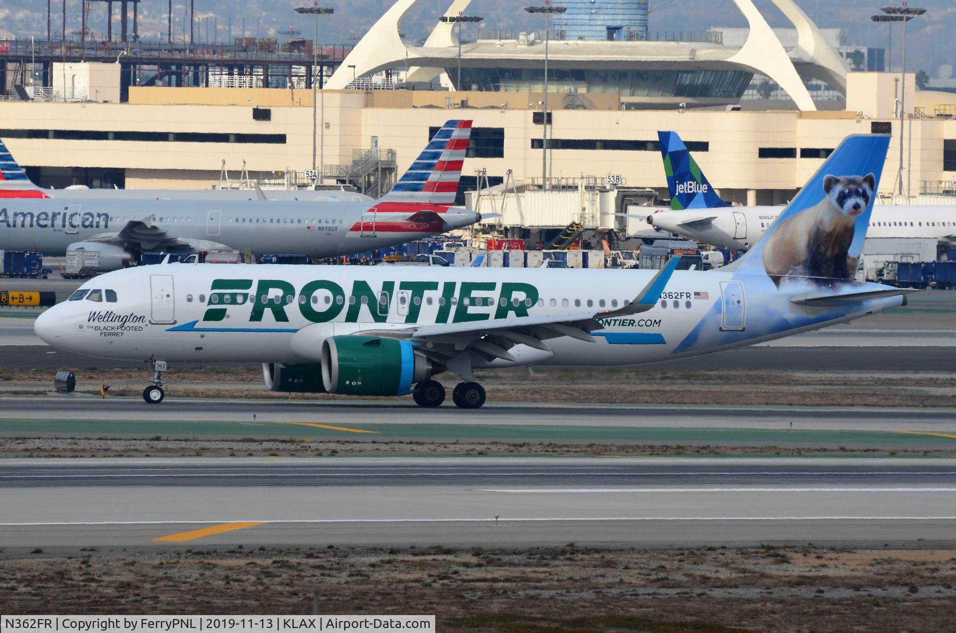 N362FR, 2019 Airbus A320-251N C/N 9222, Arrival of Wellington the ferret