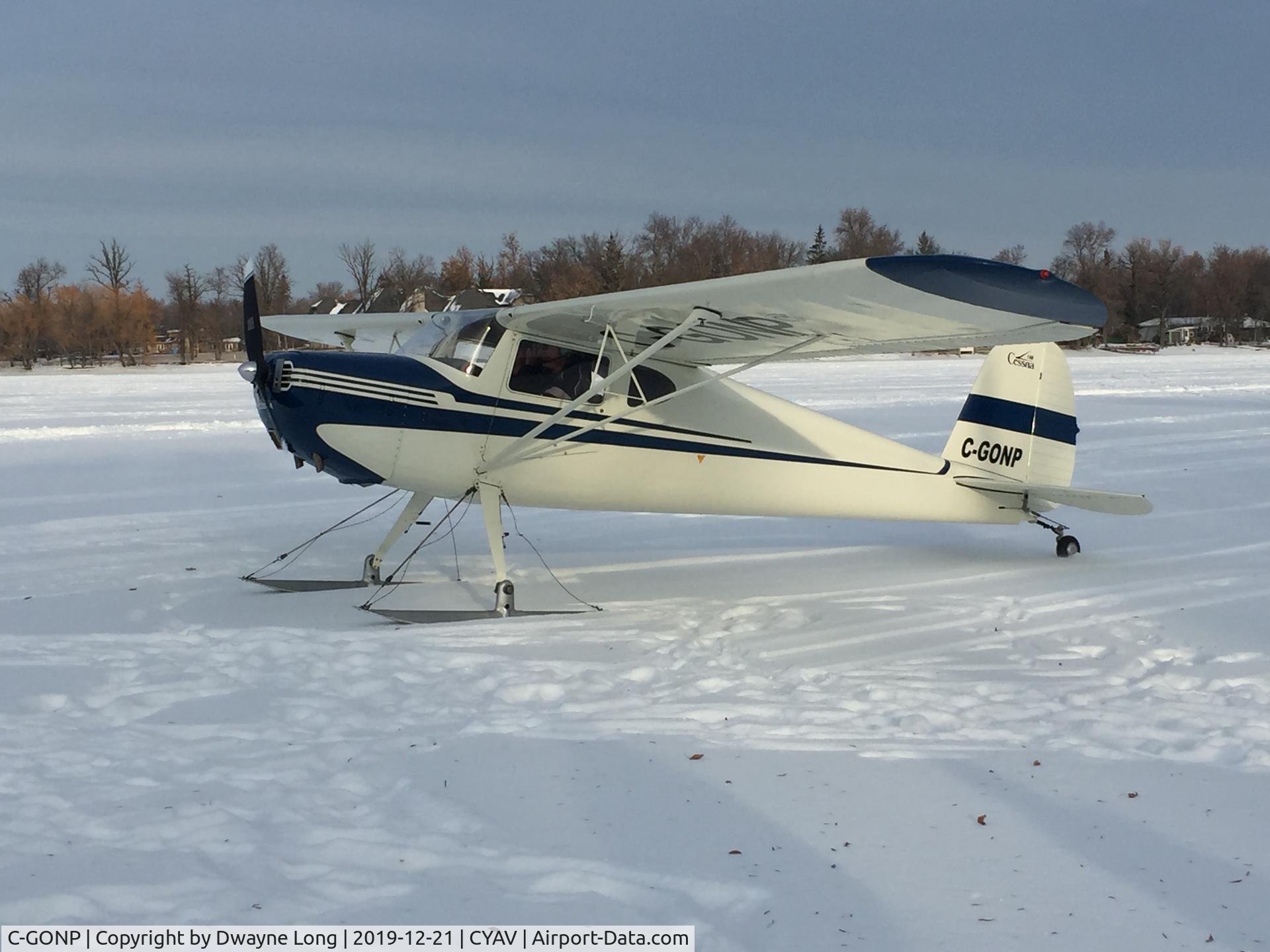 C-GONP, 1947 Cessna 140 C/N 13664, On Skis