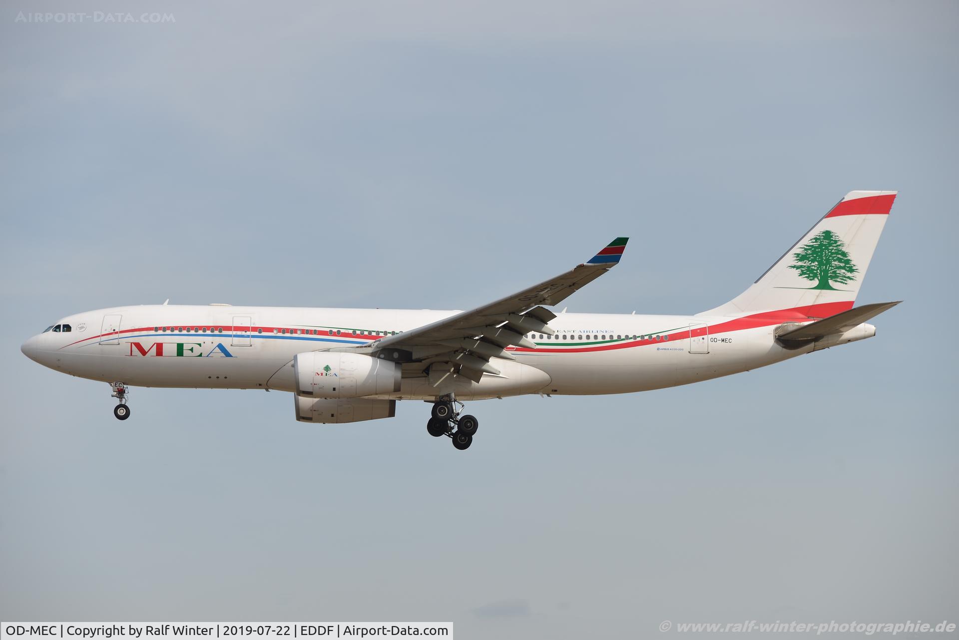 OD-MEC, 2009 Airbus A330-243 C/N 995, Airbus A330-243 - ME MEA Middle East Airlines - 995 - OD-MEC - 22.07.2019 - FRA