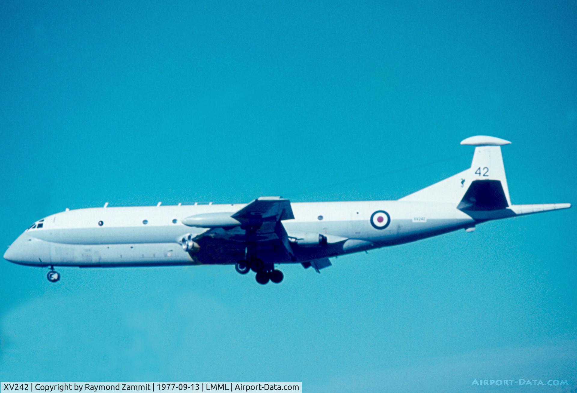 XV242, Hawker Siddeley Nimrod MR.2 C/N 8017, Hawker Siddeley Nimrod MR1 XV242 of No203 Sqdn based at RAF Luqa Malta