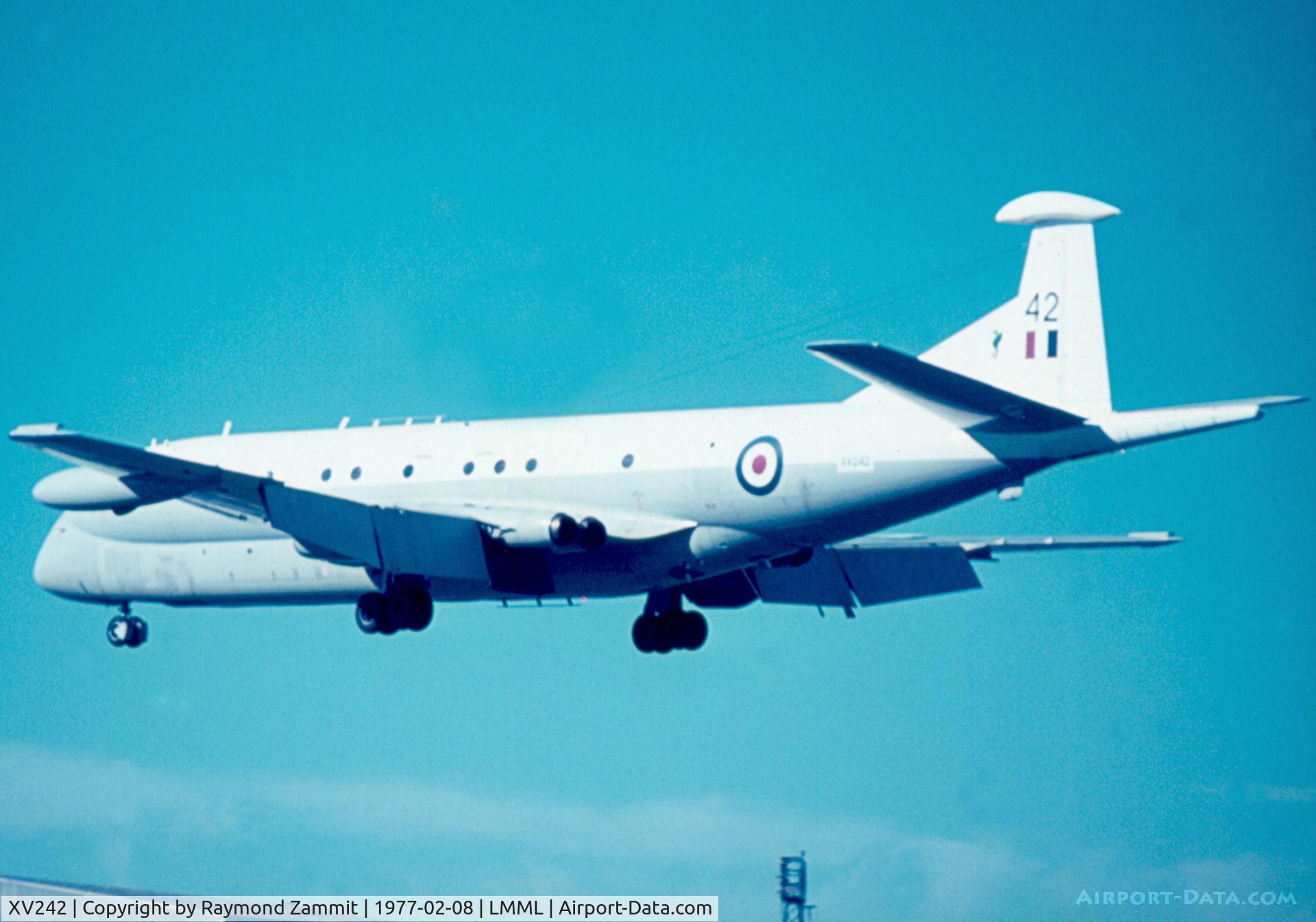 XV242, Hawker Siddeley Nimrod MR.2 C/N 8017, H.S.Nimrod MR1 XV242 of 203 Sqd RAF Luqa Malta