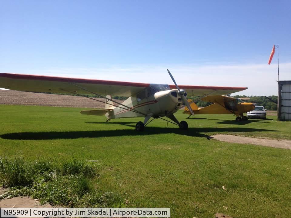 N95909, 1946 Taylorcraft BC12-D C/N 8209, Jim Skadal image.