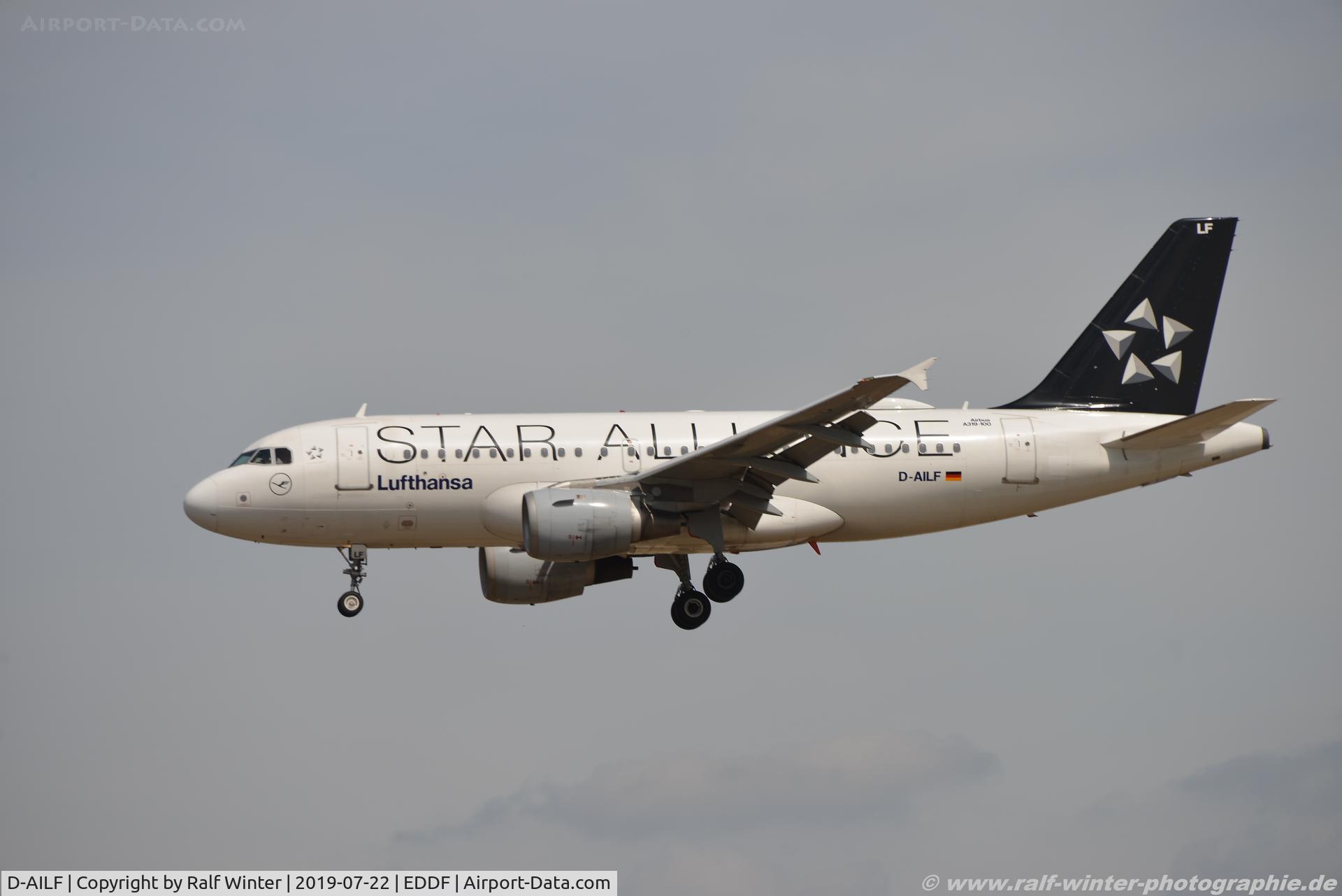 D-AILF, 1996 Airbus A319-114 C/N 636, Airbus A319-114 - LH DLH Lufthansa 'Trier 'Star Alliance' - 636 - D-AILF - 22.07.2019 - FRA
