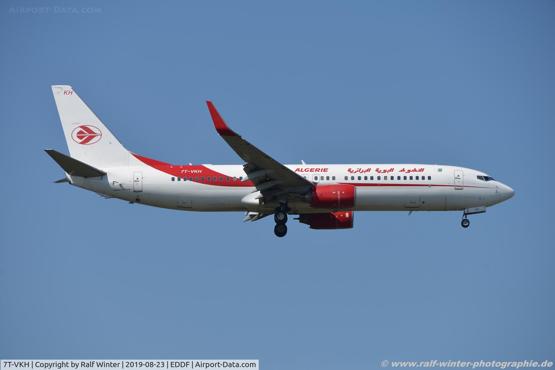 7T-VKH, 2011 Boeing 737-8D6 C/N 40862, Boeing 737-8D6(W) - AH DAH Air Algerie - 40862 - 7T-VKH - 23.08.2019 - FRA
