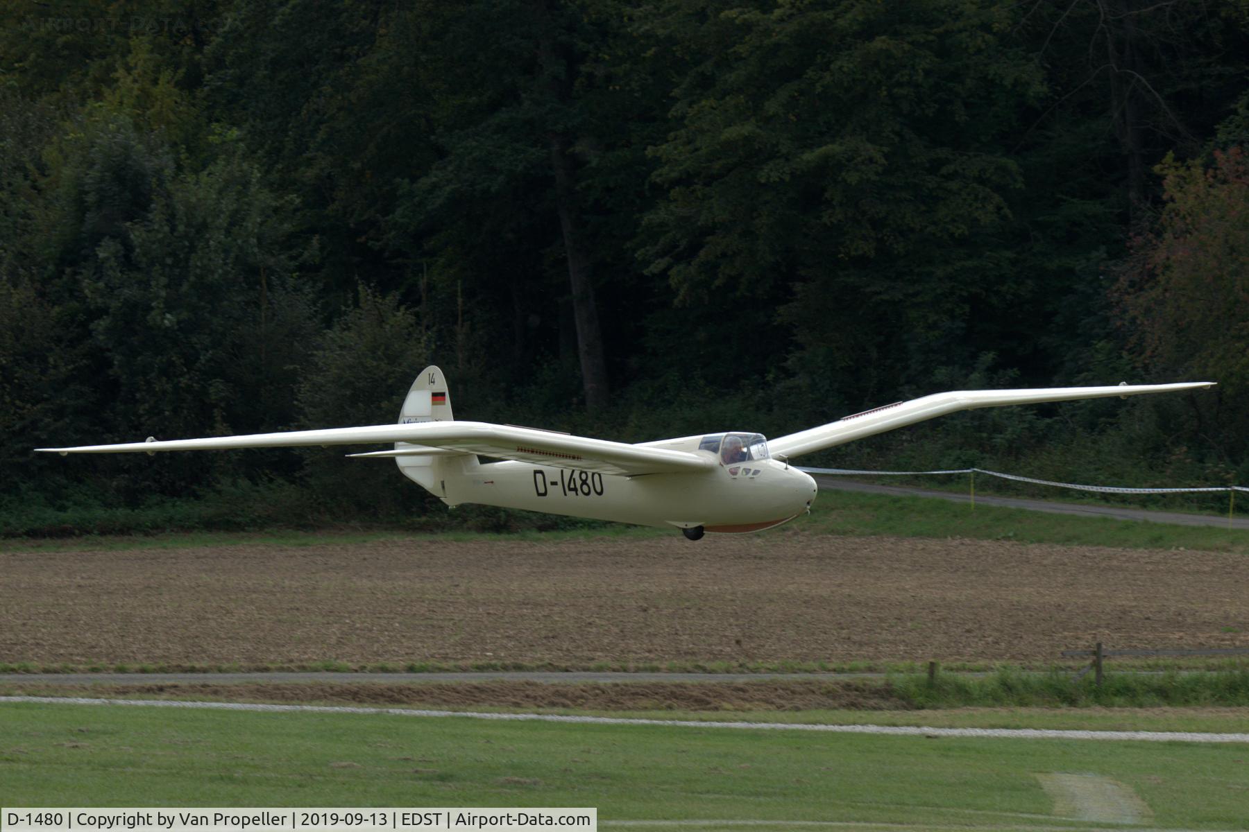 D-1480, Göppingen Gö 3 Minimoa C/N 252, Göppingen Gö 3 Minimoa gliding in to land at Hahnweide airfield, Germany. OTT 2019
