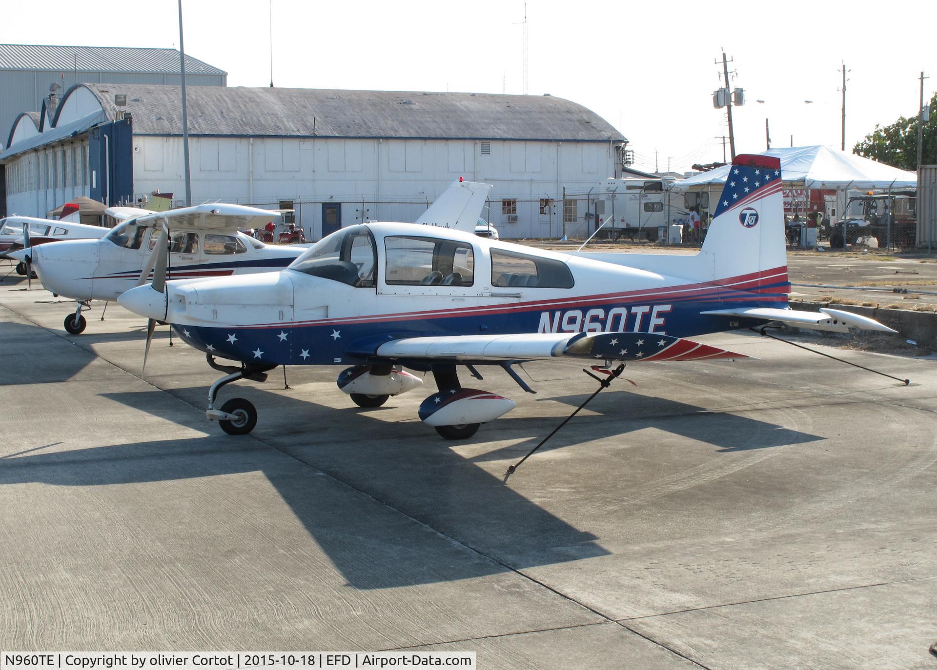 N960TE, 2004 Tiger Aircraft Llc AG-5B C/N 10239, Houston 2015