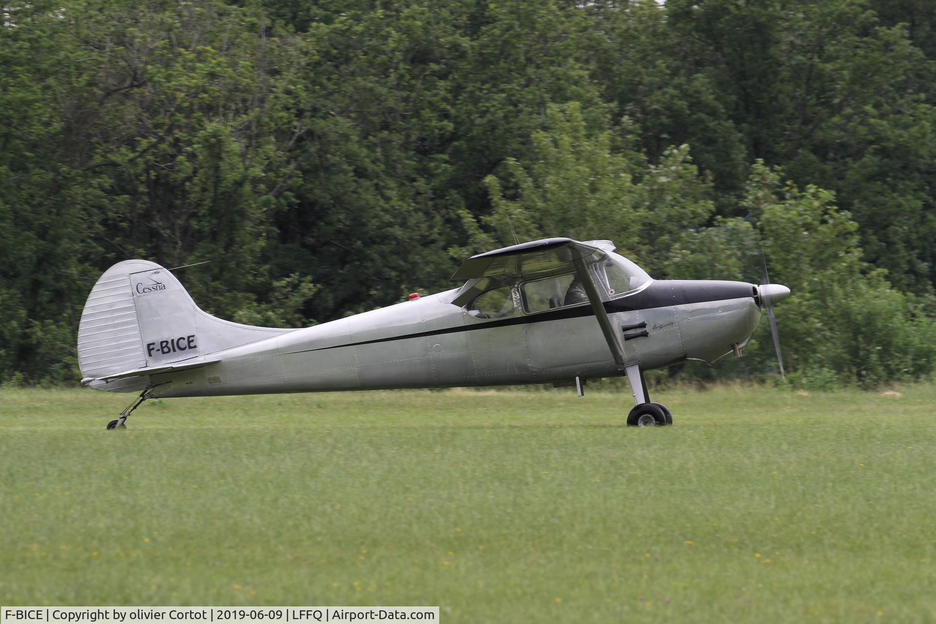F-BICE, Cessna 170B C/N 26436, 2019 airshow