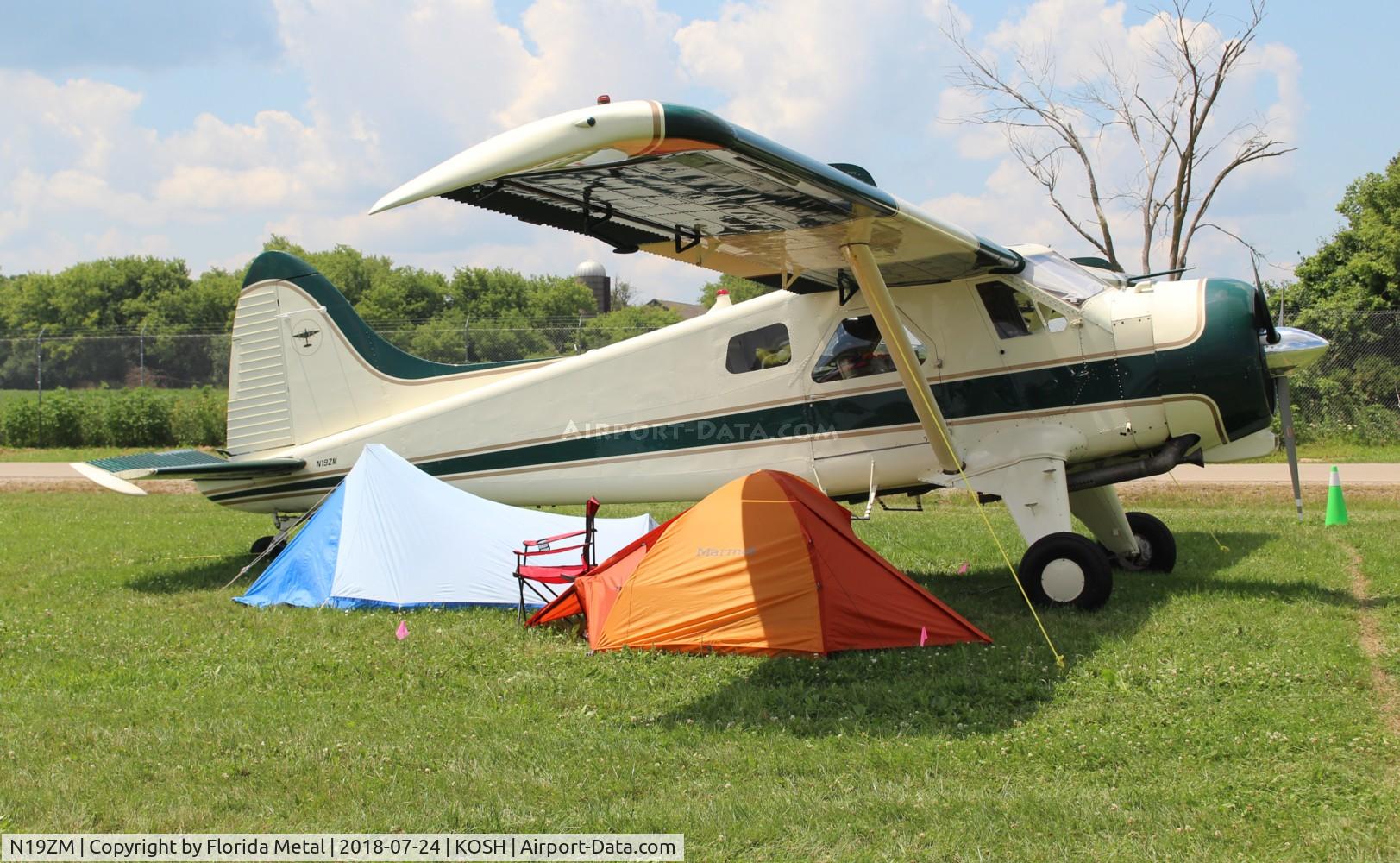 N19ZM, 1951 De Havilland Canada U-6A Beaver C/N 311, Air Venture 2018