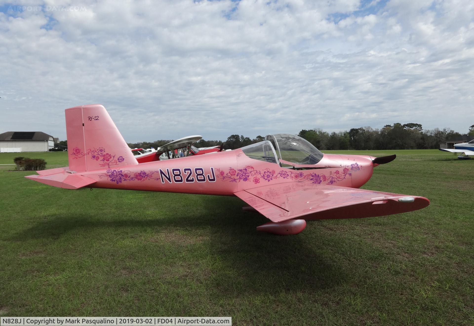 N828J, Vans RV-12 C/N 120317, Vans RV-12