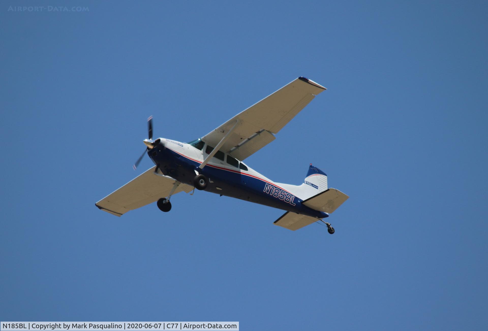 N185BL, 1979 Cessna A185F Skywagon 185 C/N 18503775, Cessna A185F