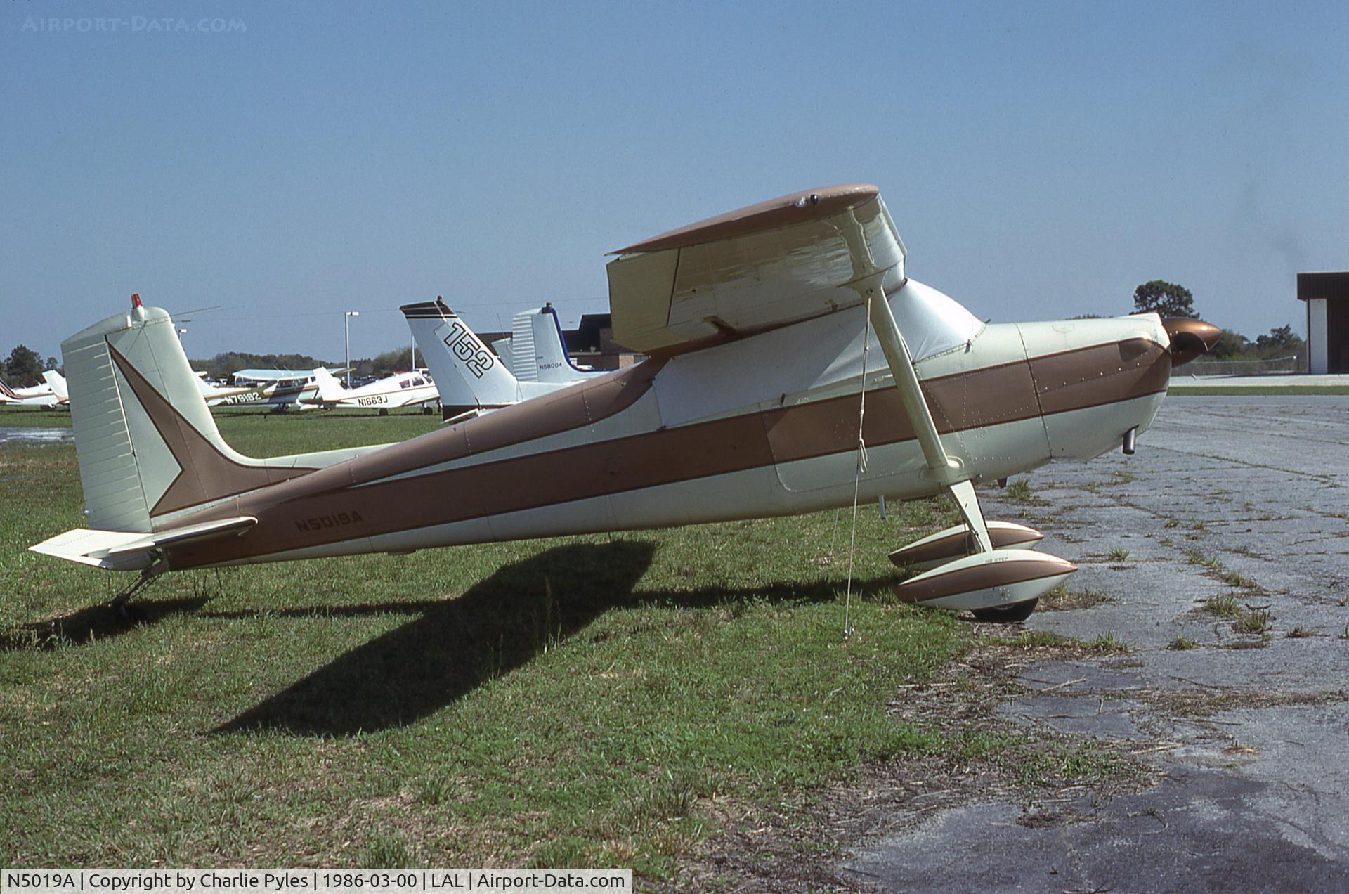 N5019A, 1955 Cessna 172 C/N 28019, Converted to tailwheel