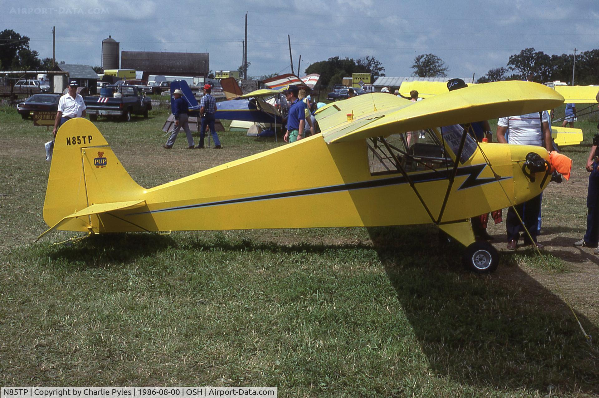 N85TP, Nostalgair N-3 Pup C/N 84554N3P, Cubby lookin little dude