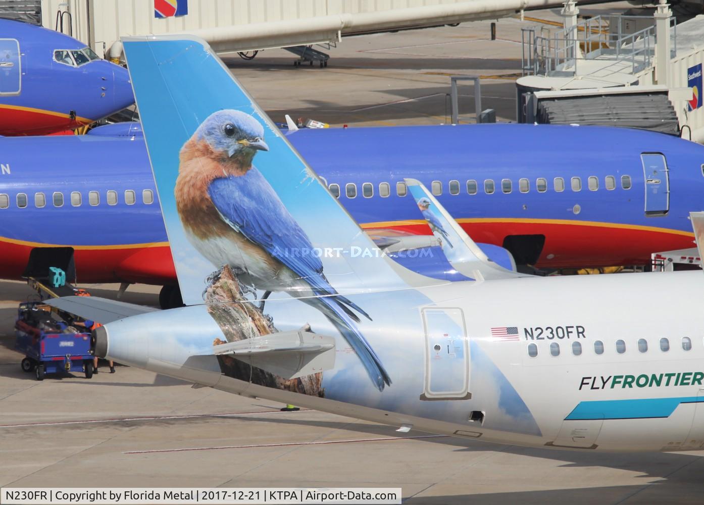 N230FR, 2015 Airbus A320-214 C/N 6773, Betty