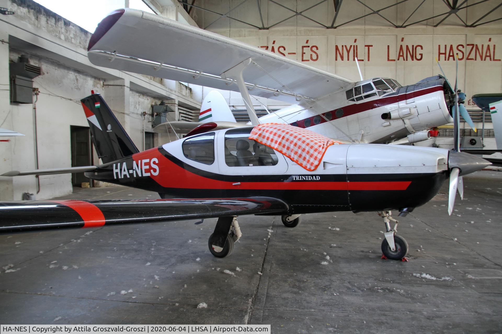 HA-NES, 1982 Socata TB-20 Trinidad C/N 333, LHSA-Szentkirályszabadja Airport, Hungary
