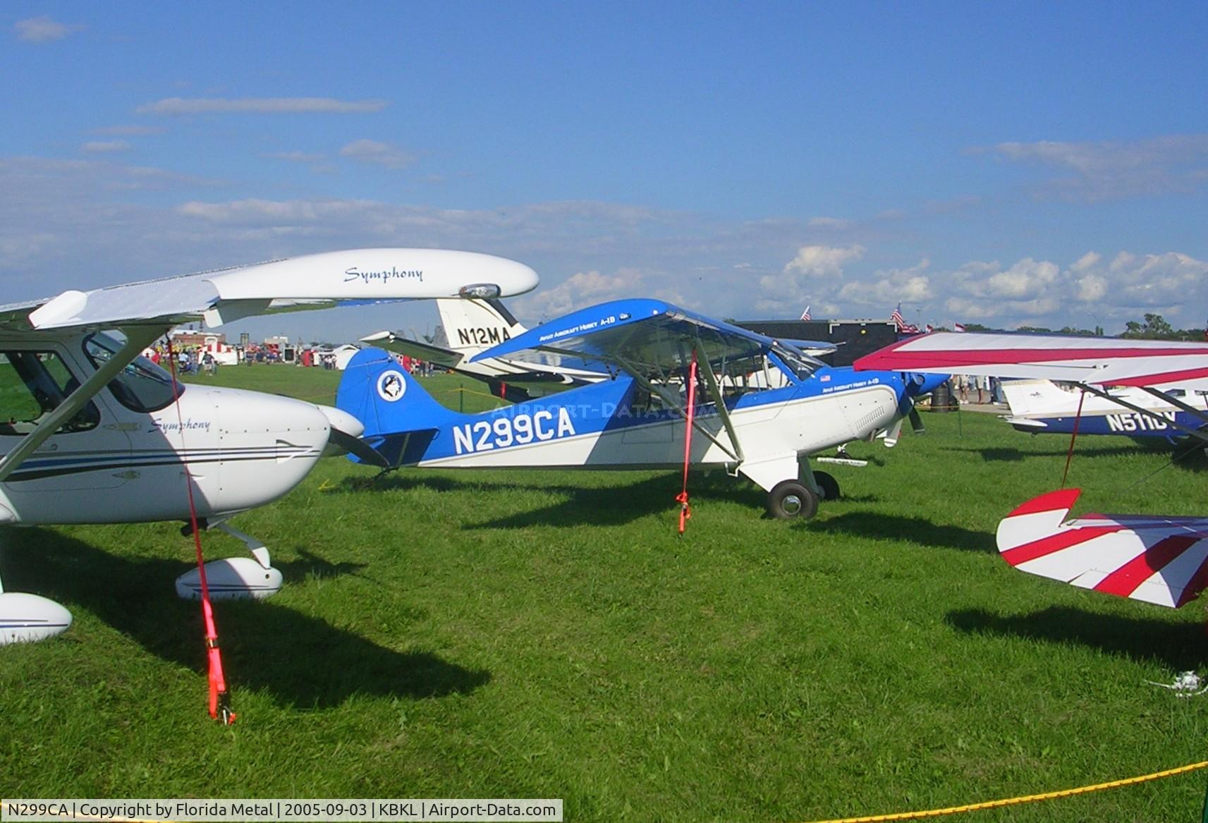 N299CA, 2005 Aviat A-1B Husky C/N 2294, Cleveland 2005