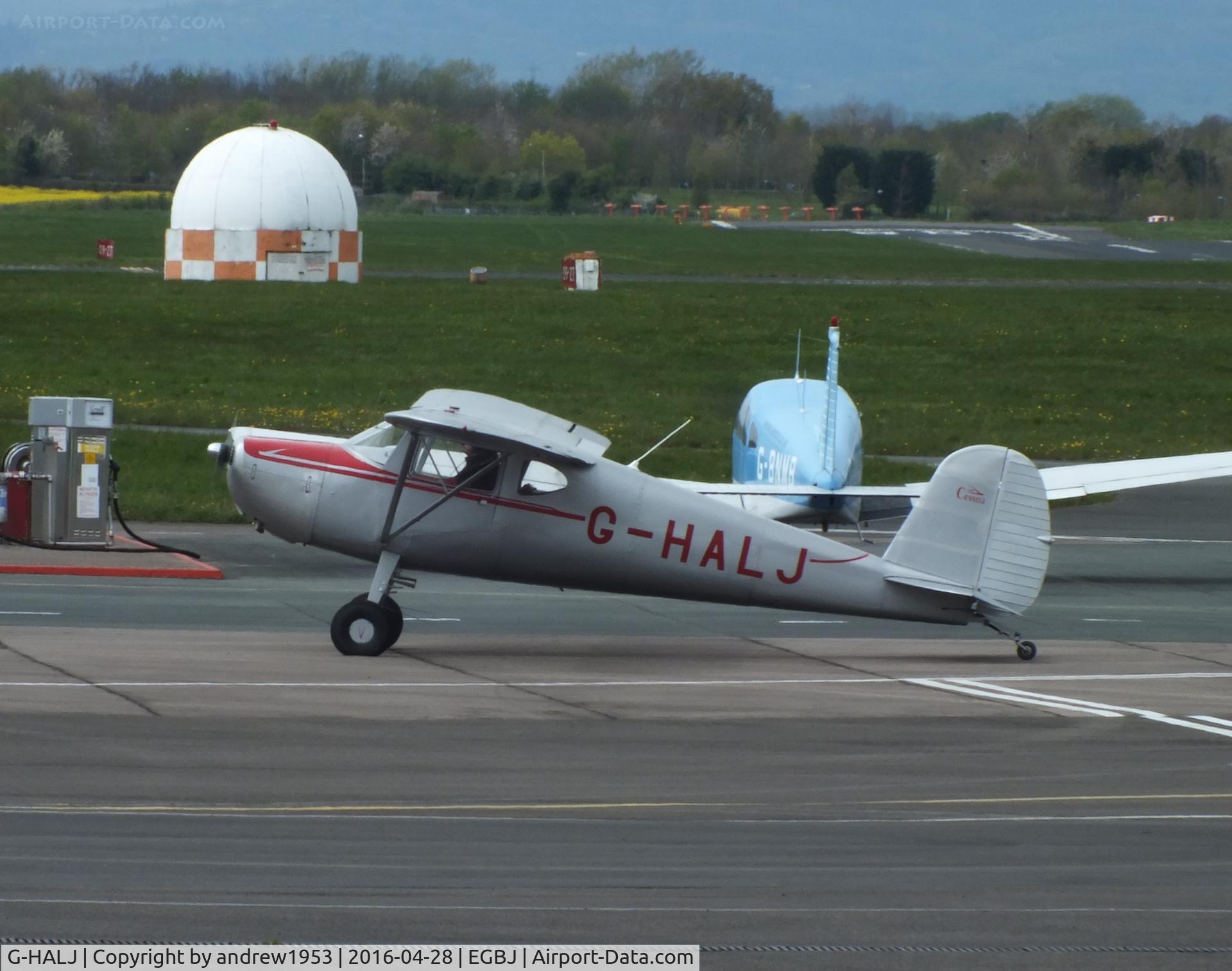 G-HALJ, 1946 Cessna 140 C/N 8336, G-HALJ at Gloucestershire Airport.