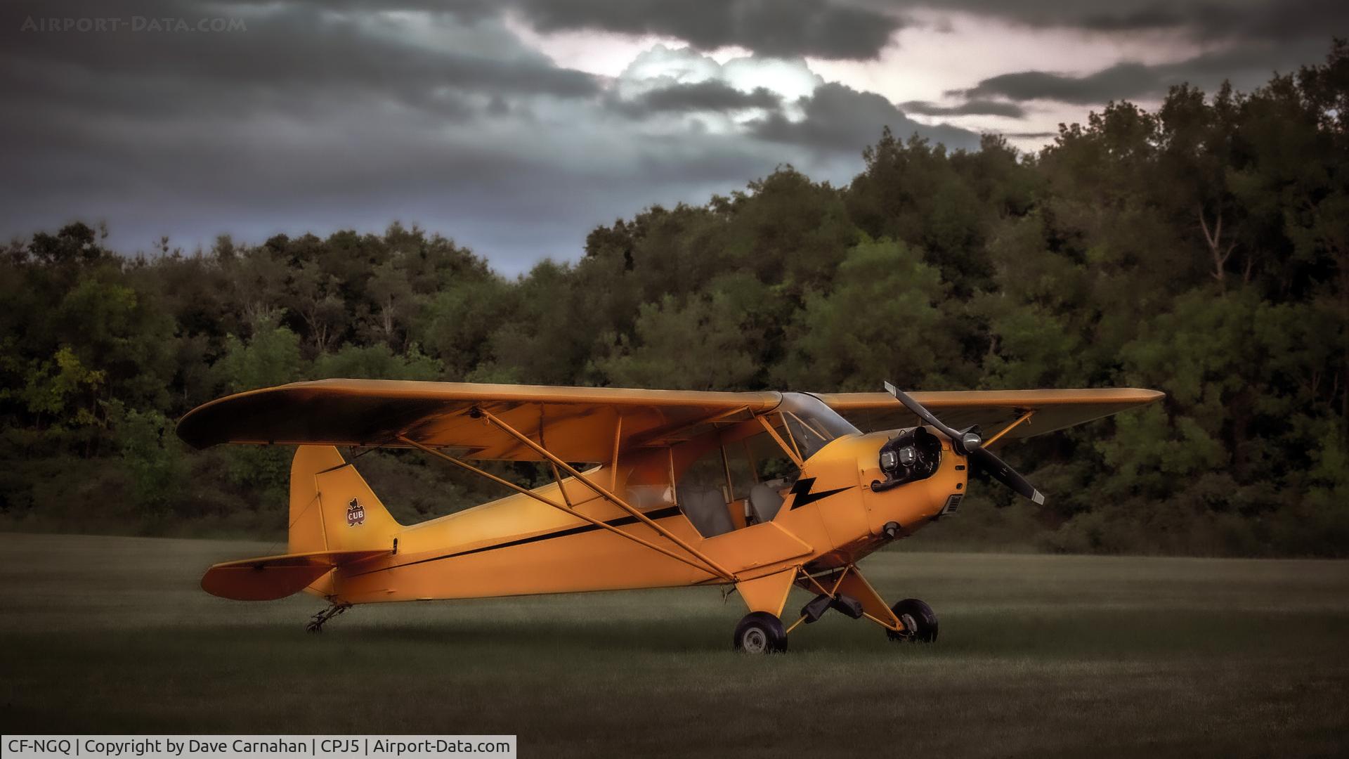 CF-NGQ, 1945 Piper J3C-65 Cub Cub C/N 14816, CF-NGQ parked on the grass at Stirling airport. As you can see, it now has it's lightning bolt painted along the sides.