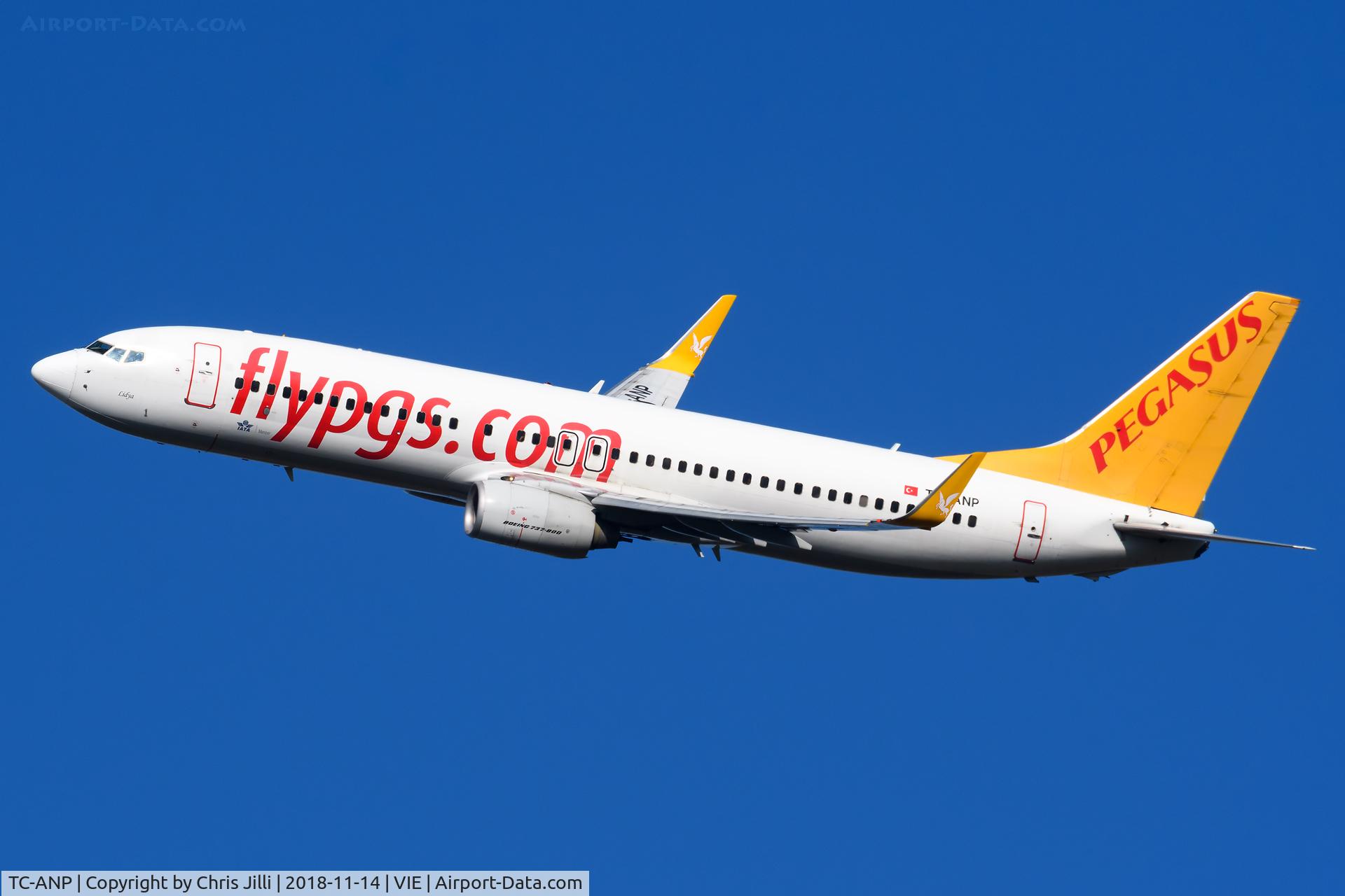 TC-ANP, 2011 Boeing 737-82R C/N 40722, Pegasus