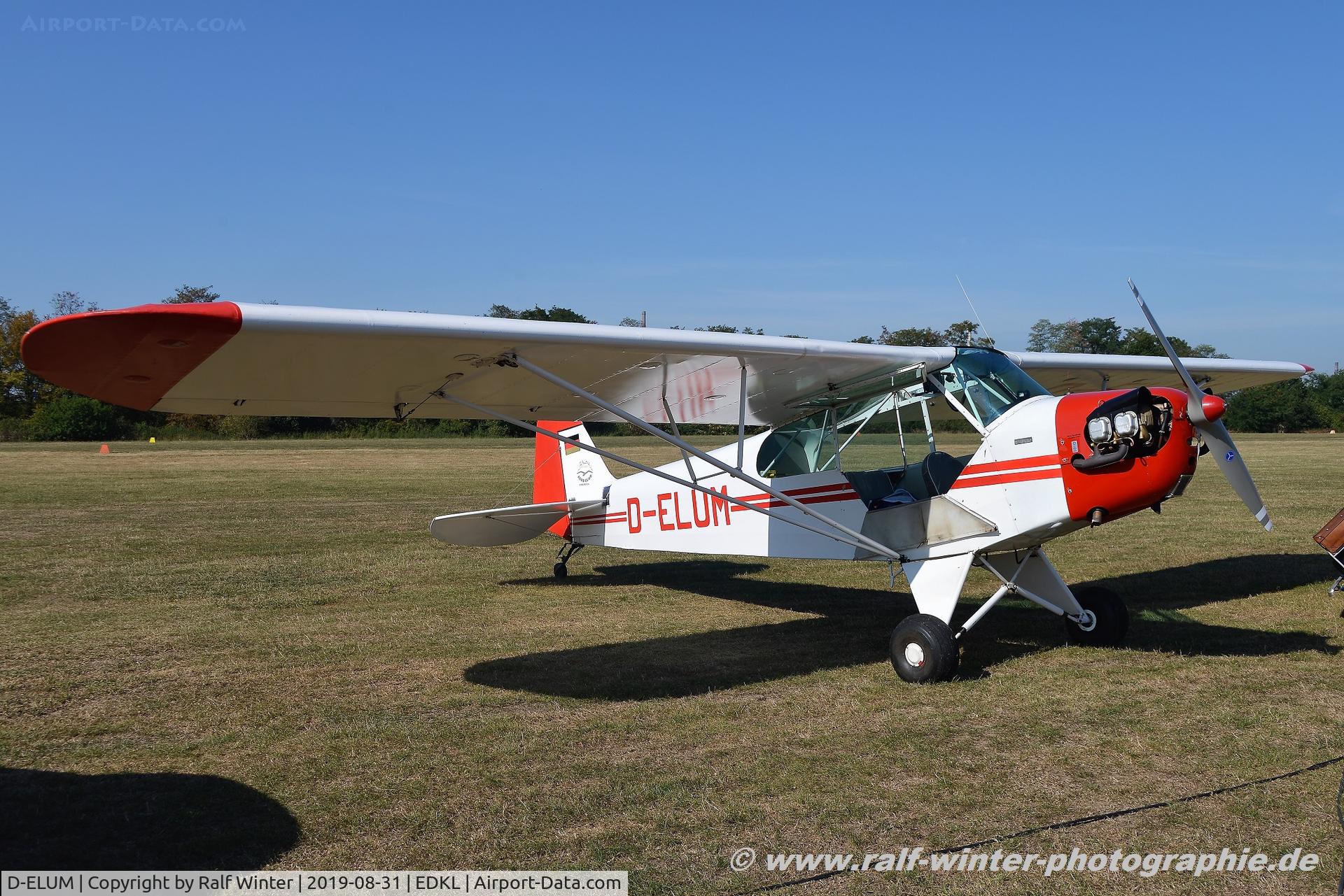D-ELUM, 1944 Piper L-4H Grasshopper (J3C-65D) C/N 11005, Piper J-3C-65 Club - Private - 11005 - D-ELUM - 31.08.2019 - EDKL