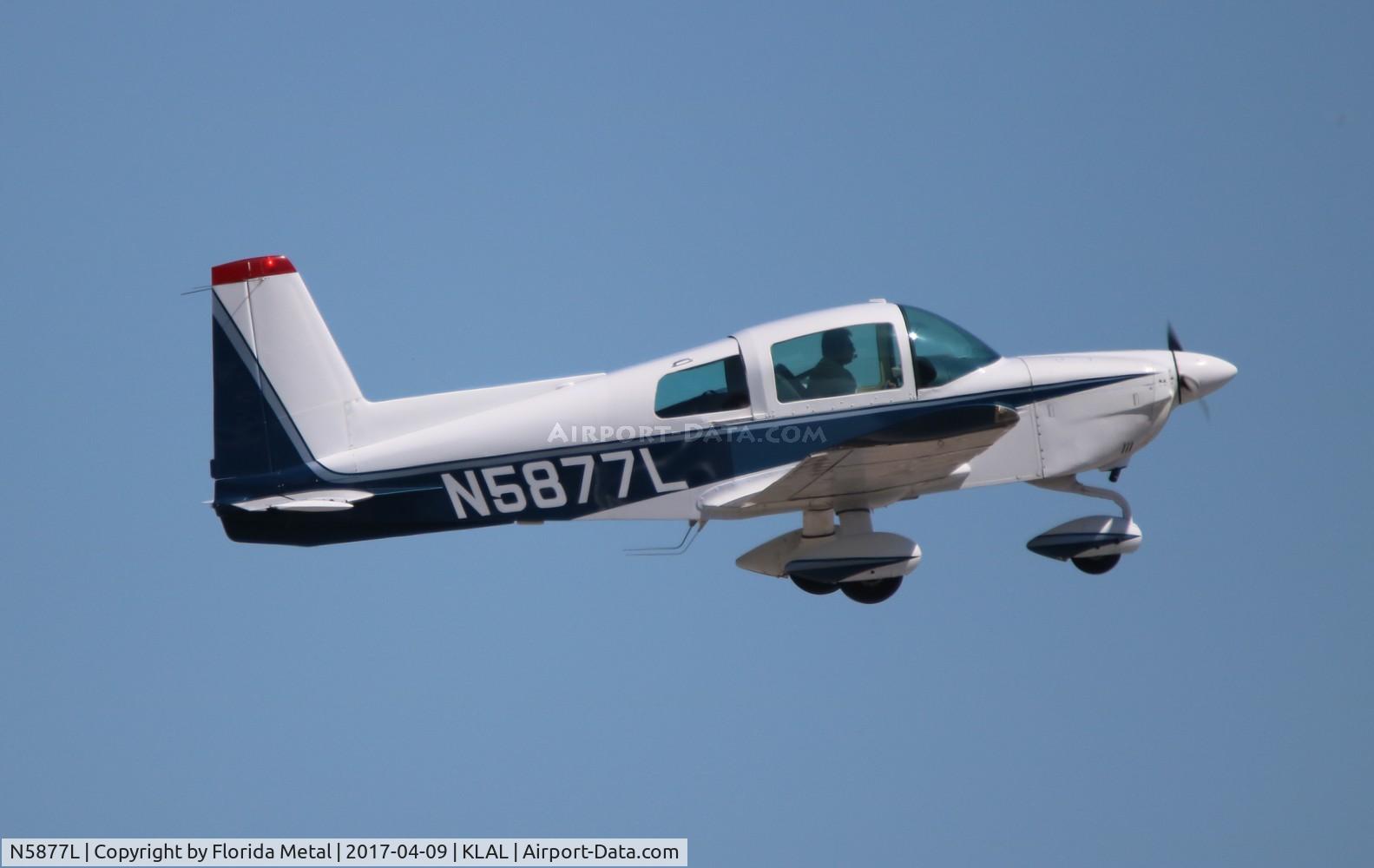 N5877L, 1972 American AA-5 C/N AA5-0077, American AA-5
